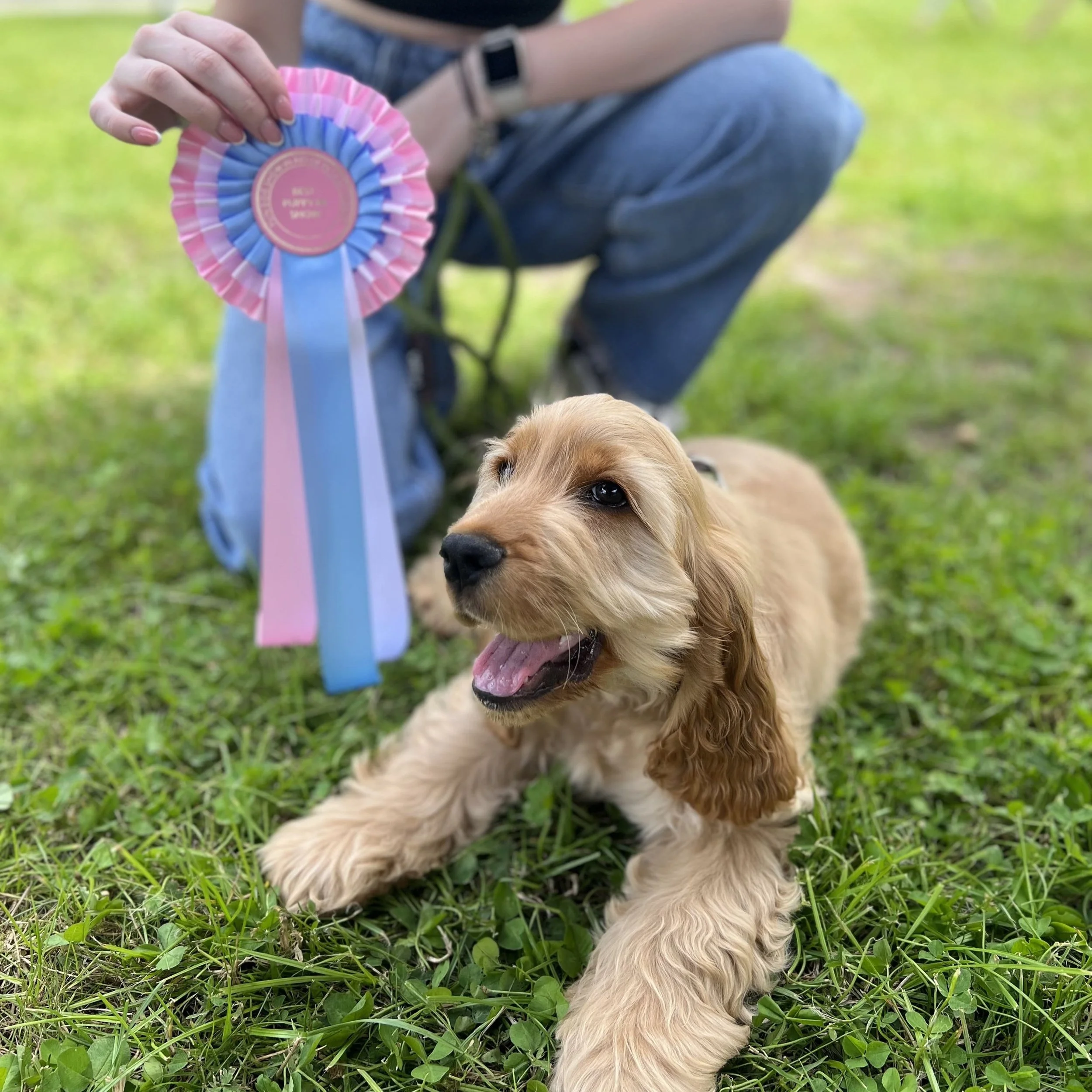 Elton+Mazes+Dog+Show+Winner+2024.jpg