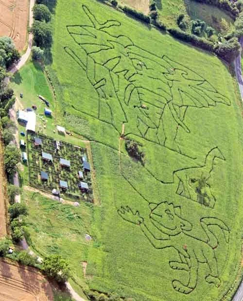 Safari designs in a maize maze at Elton