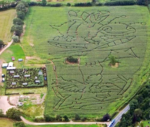 Giant Bee design in a maize maze at Elton