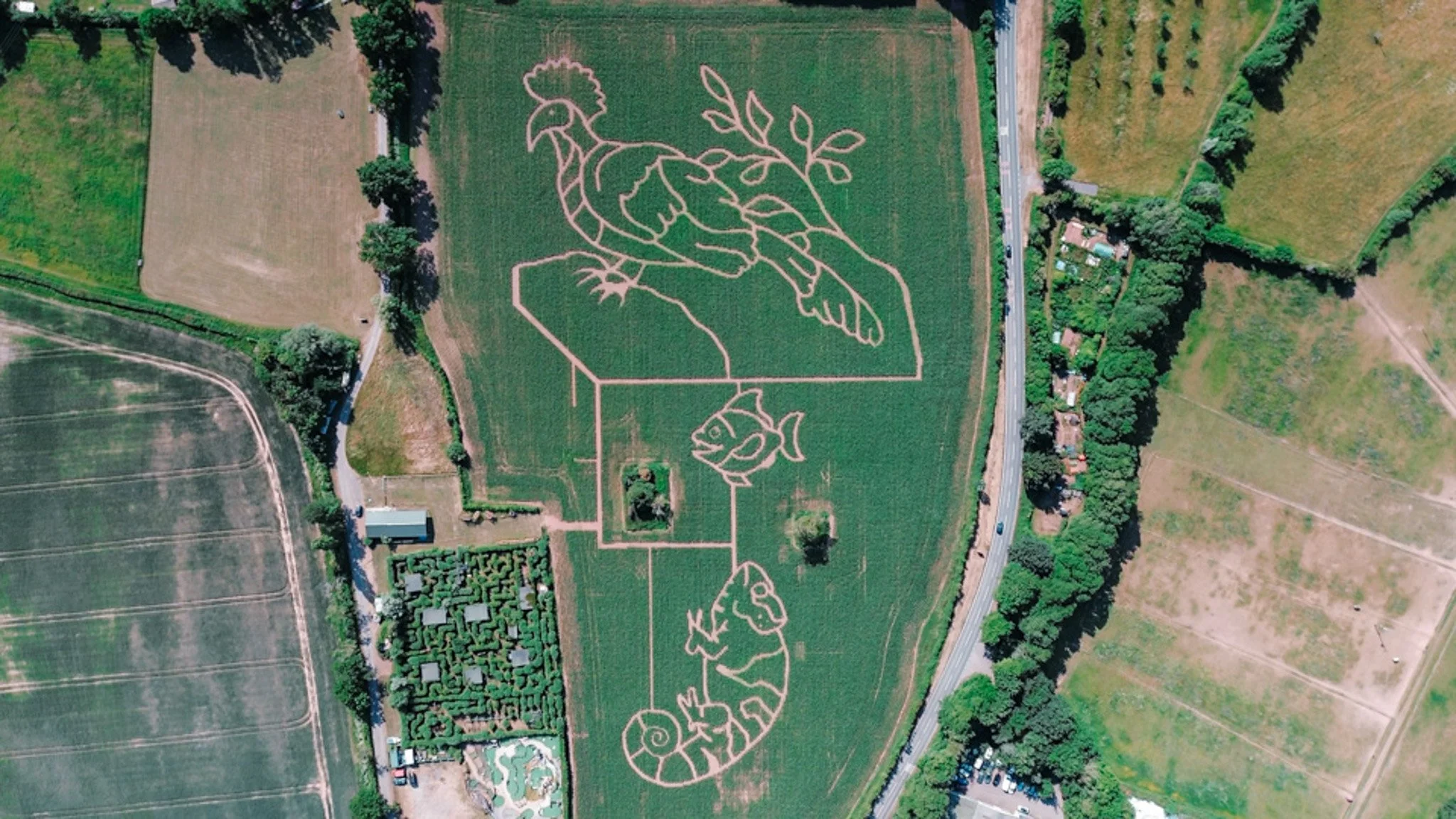 dji_fly_20250602_112120_341_1748860160713_photo.jpg