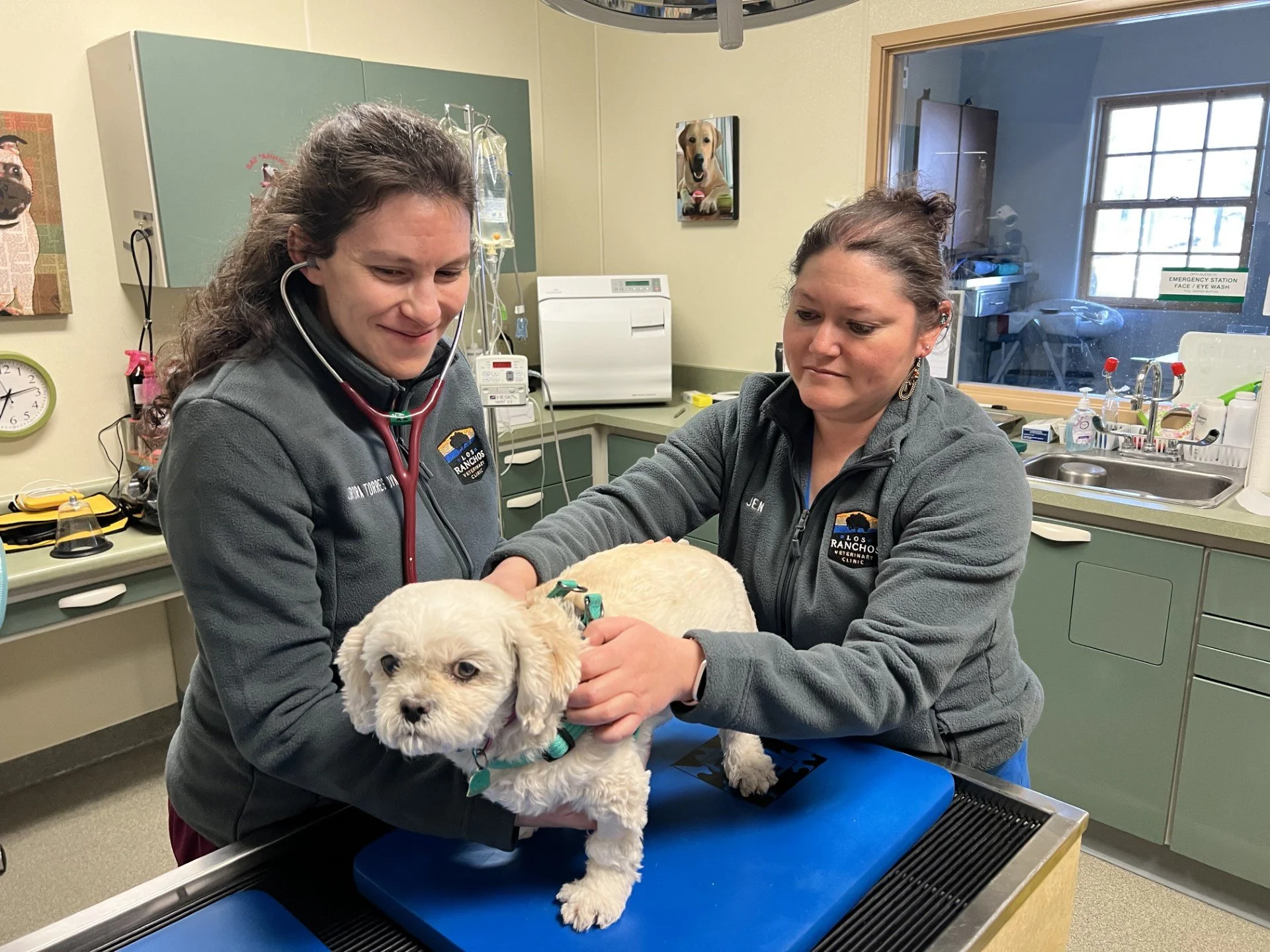 Veterinary Ranch About — Los Ranchos Veterinary Clinic