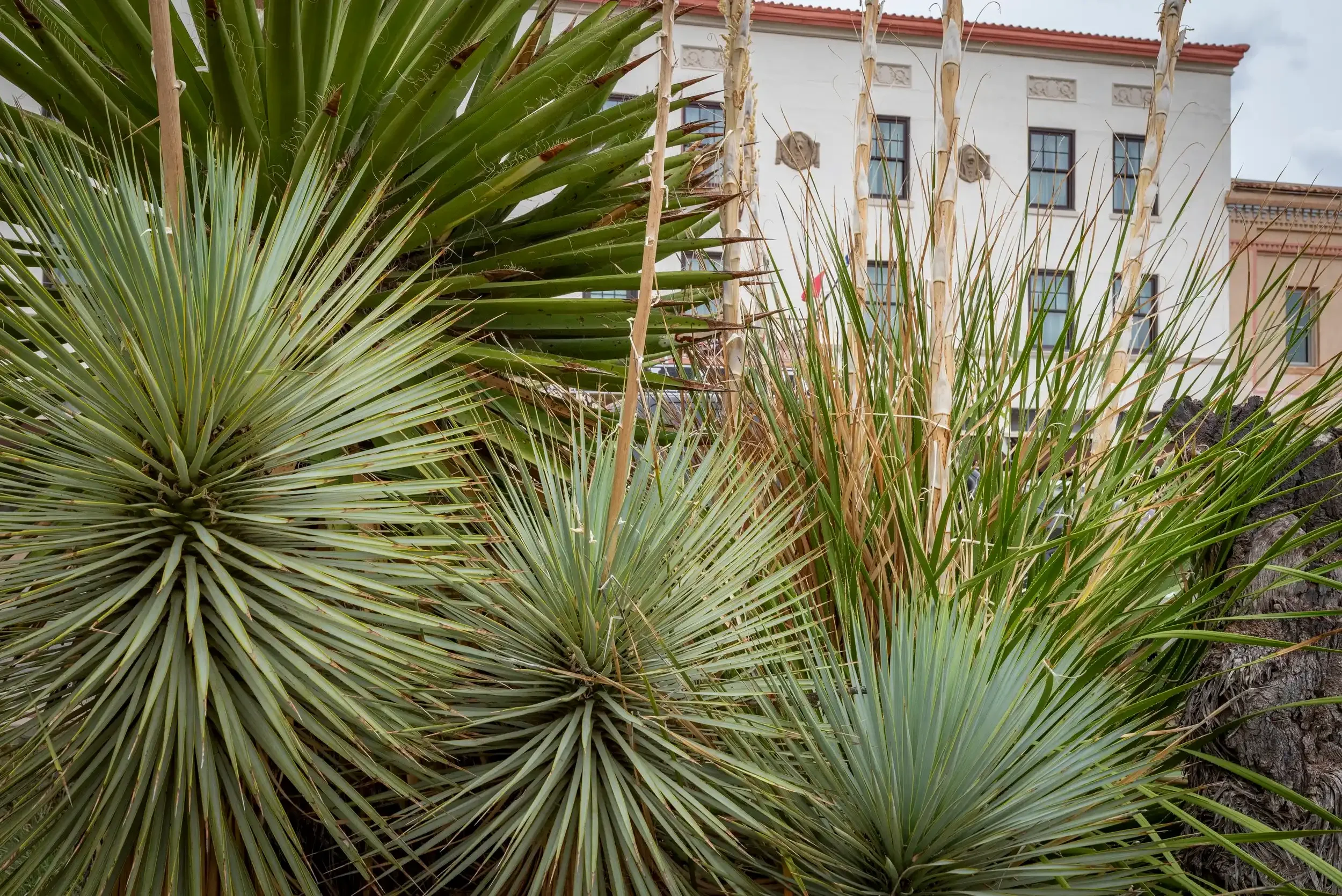 TReilly_20230822_DSC9496 (3) (1).webp