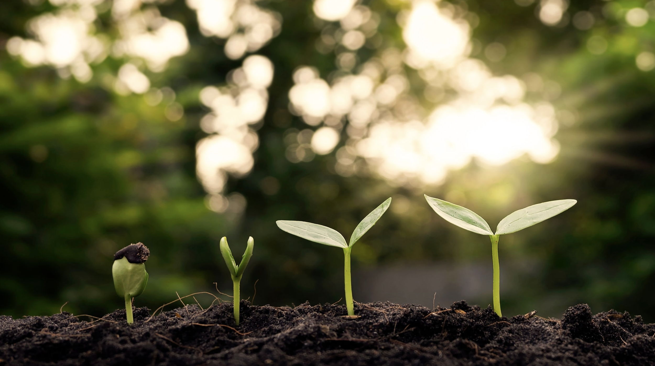 Sustainability is a Full Circle