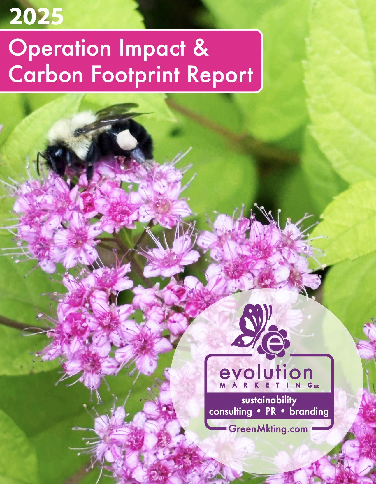 2025 Operational Impact &amp; Carbon Footprint Report