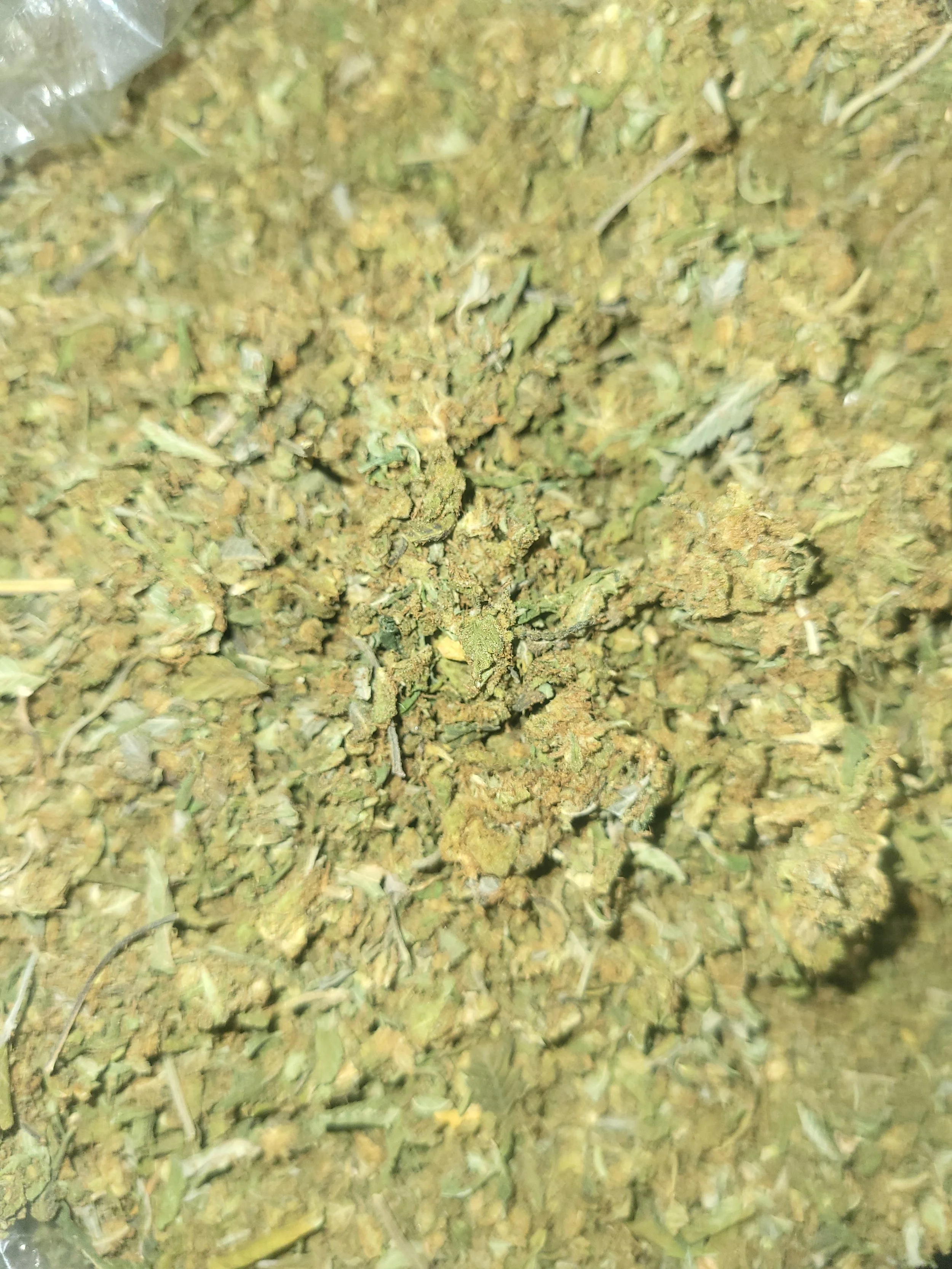SHAKE