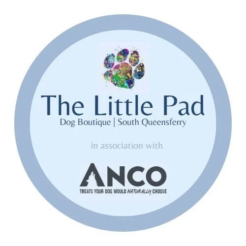 The Little Pad logo may2023 (1).jpg
