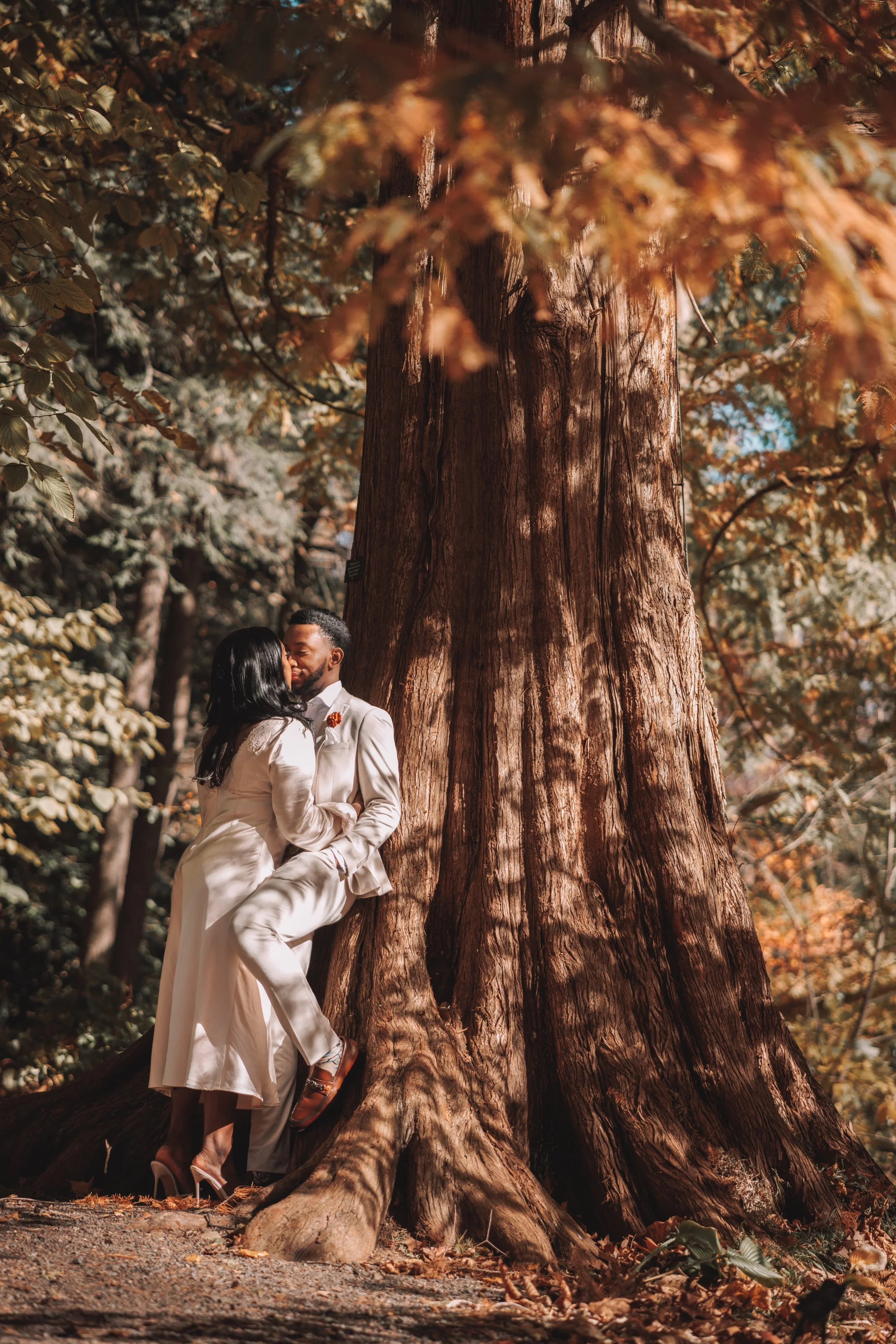 A couple dressed in white, standing close together and sharing a kiss near a large tree in a forest during autumn.