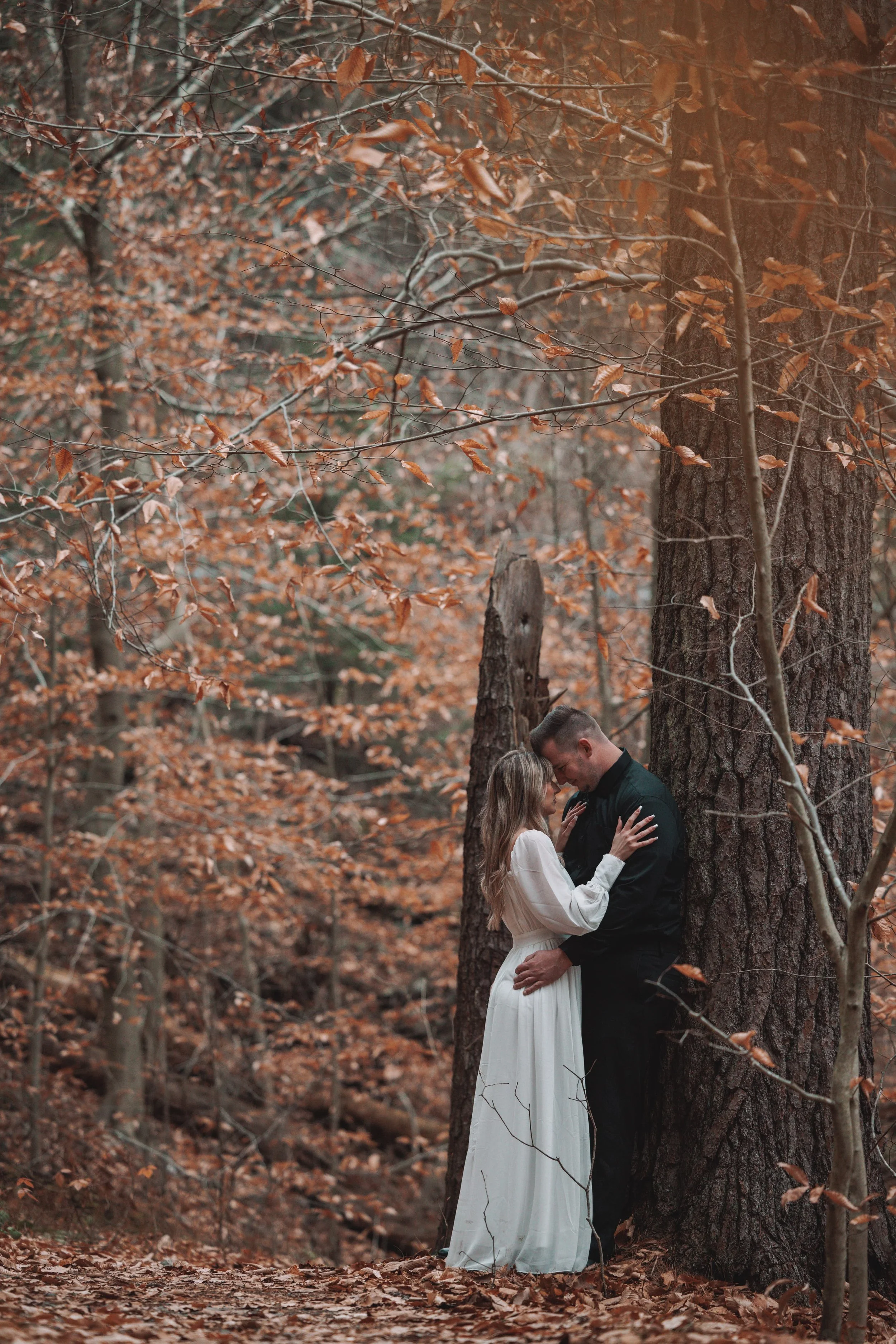 A couple holding each other closely in a forest with brown autumn leaves, standing near large trees.