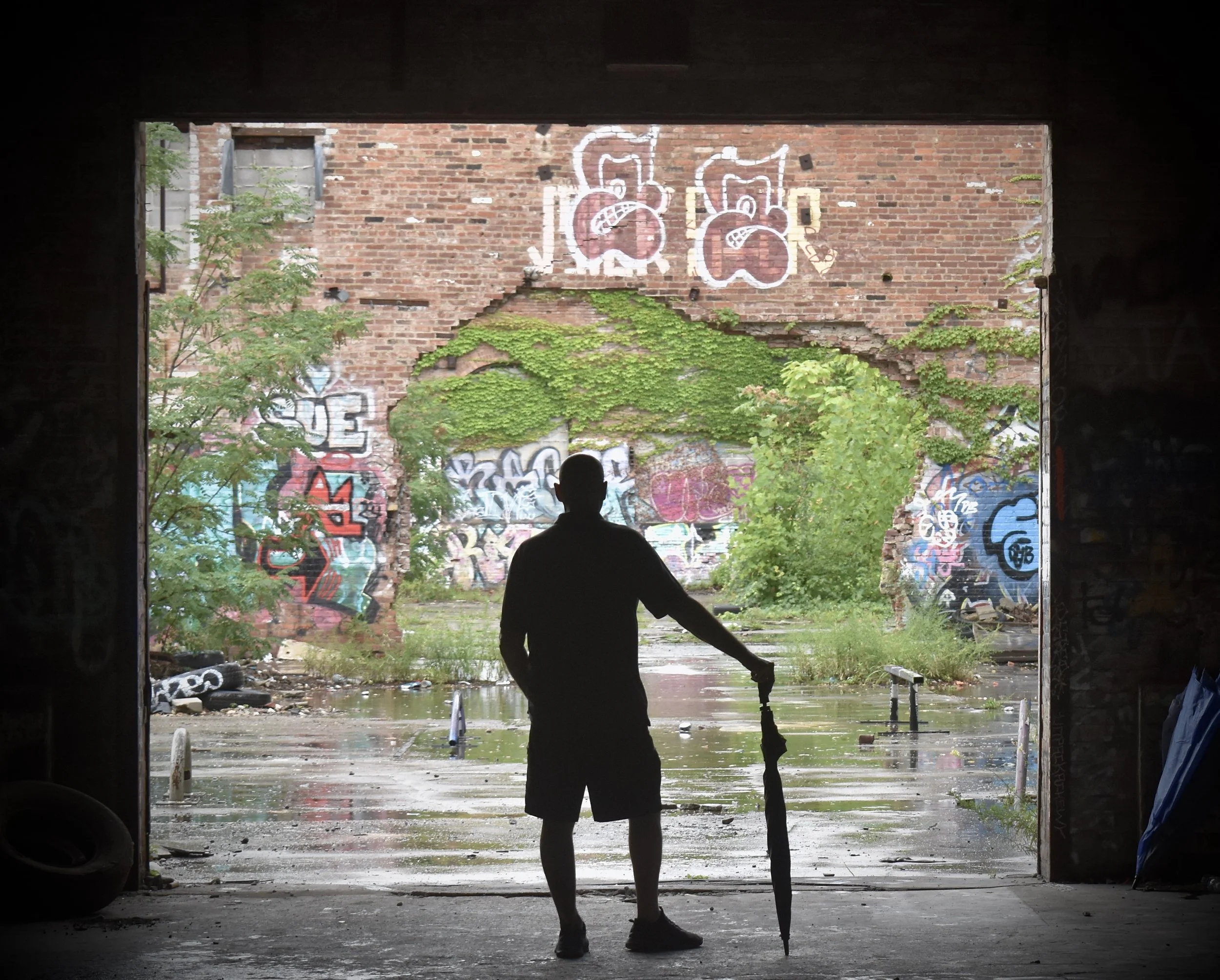 Dina Liguore (Youngstown, OH) Silhouetto, photography