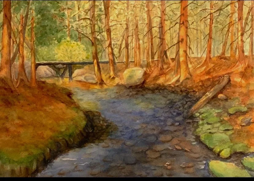 Jean Nye (Canfield, OH) Sticks and Stones, watercolor, $285
