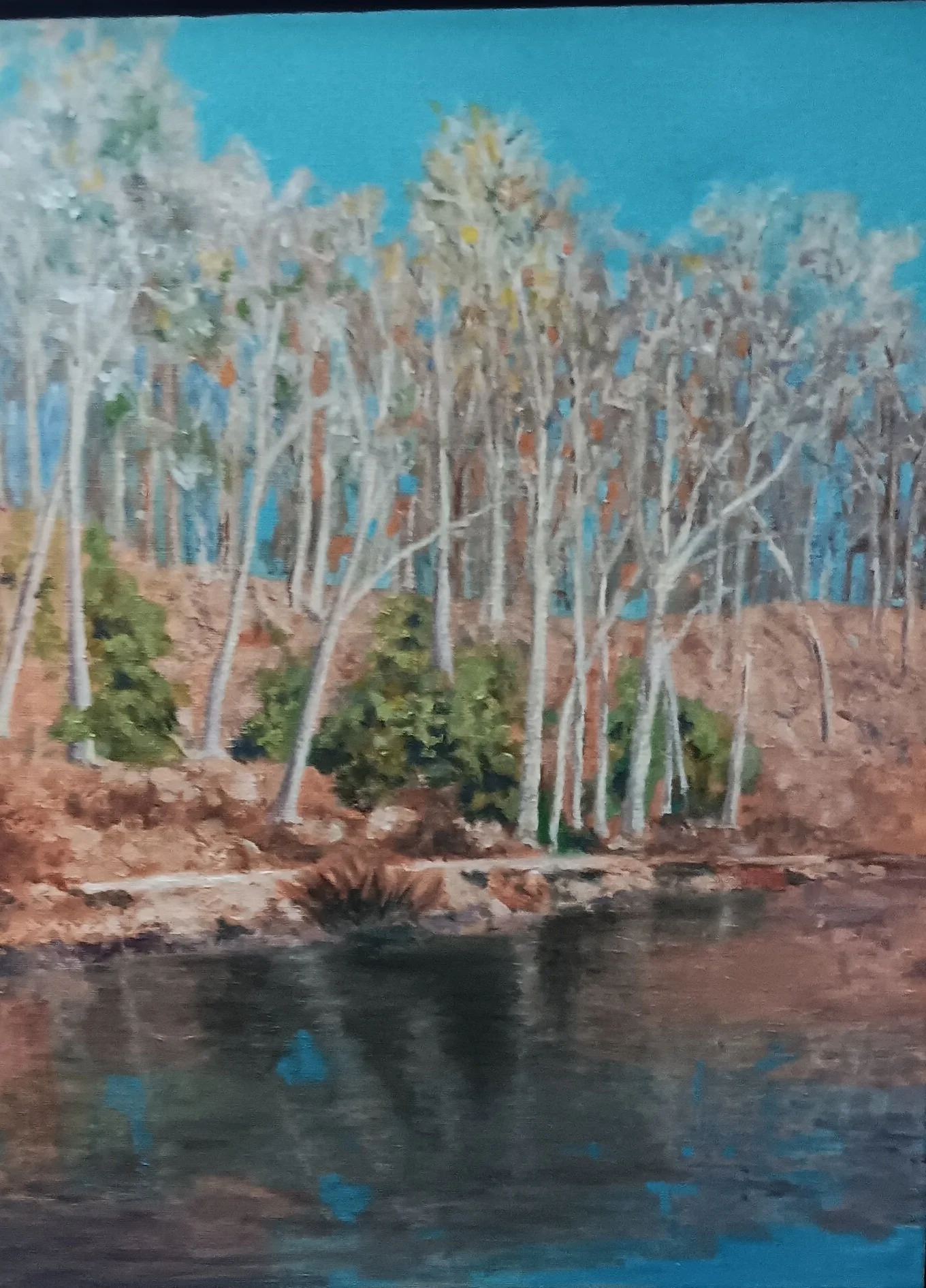 Carolyn Riggins (New Middletown, OH) The Lily Pond, oil, $200