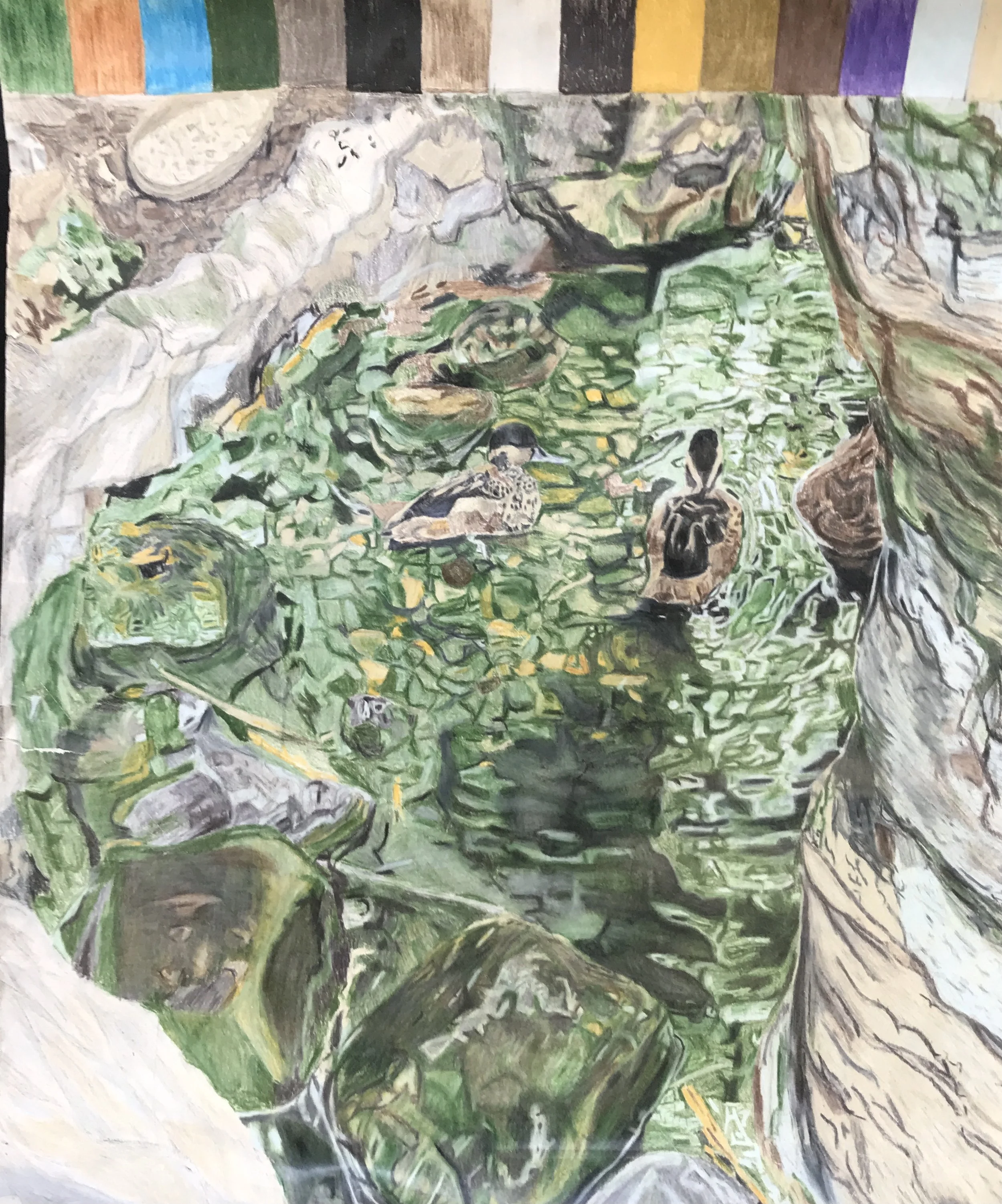 Jocelyn Skeels (Youngstown, OH) Two Ducks on a Lake, colored pencil, NFS