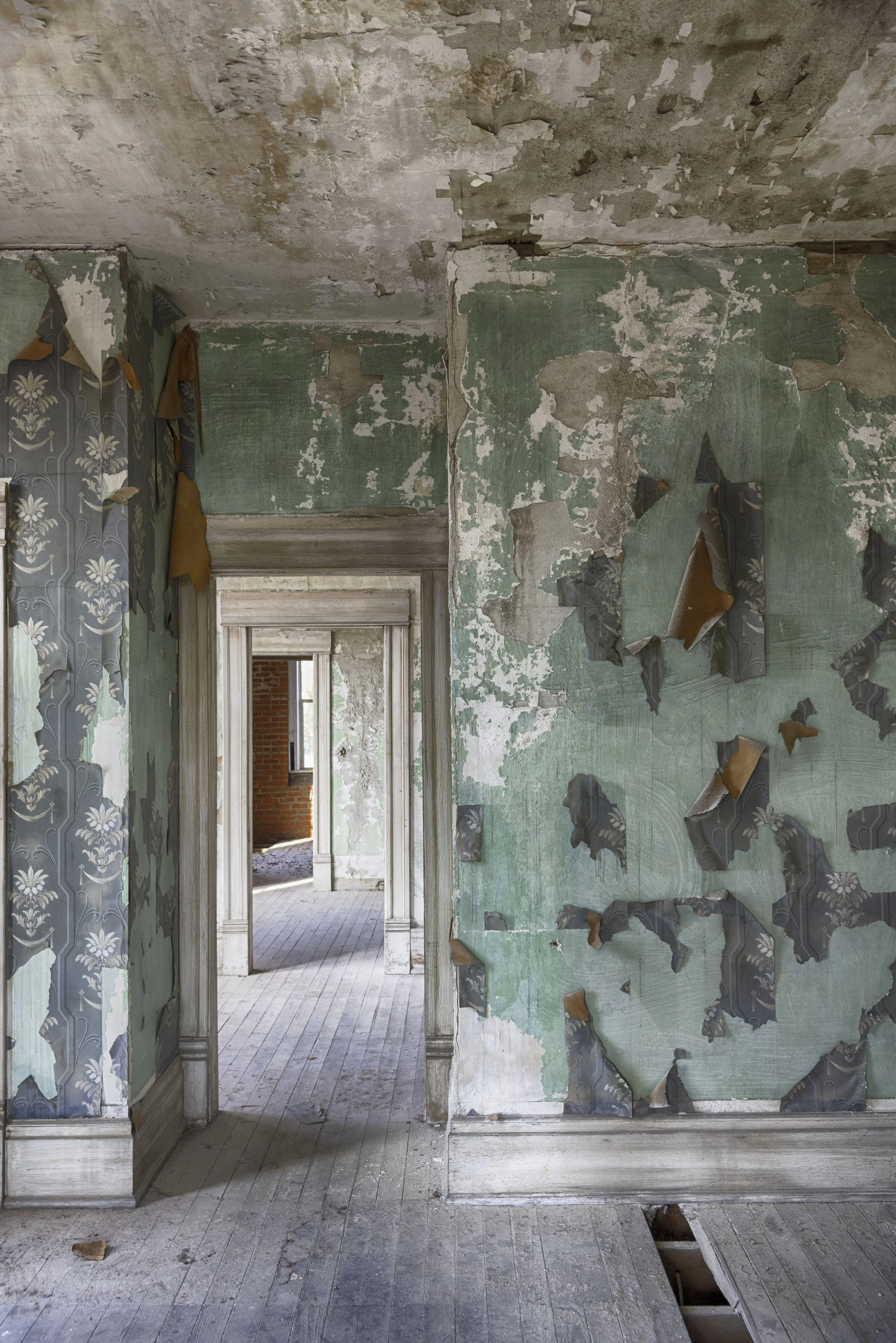 Diane Beatty (Campbell, OH) When the Paper Peels, Photography, $150