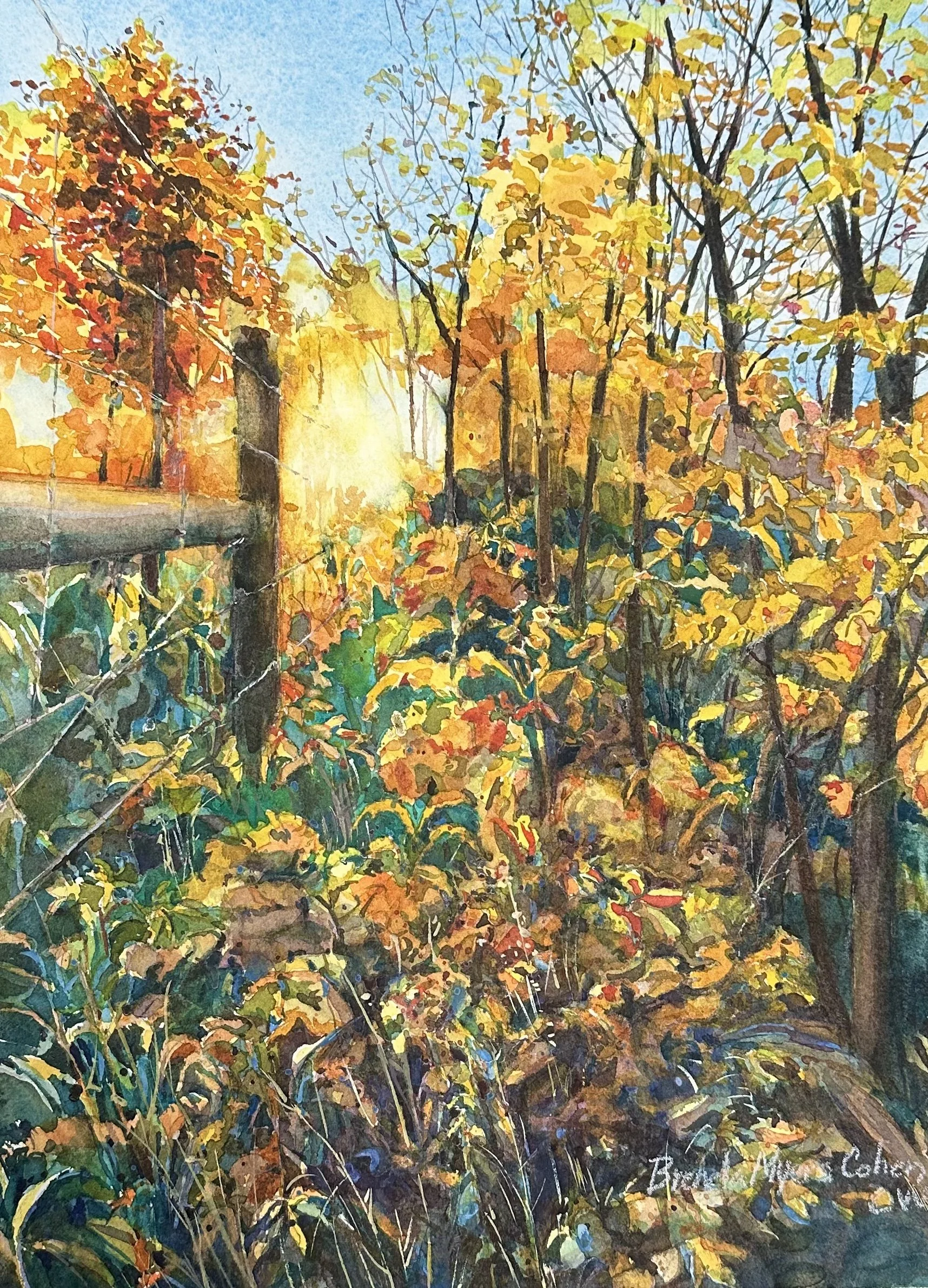 Brenda Myers Cohen (Girard, OH) The Setting Sun, Watercolor, $450