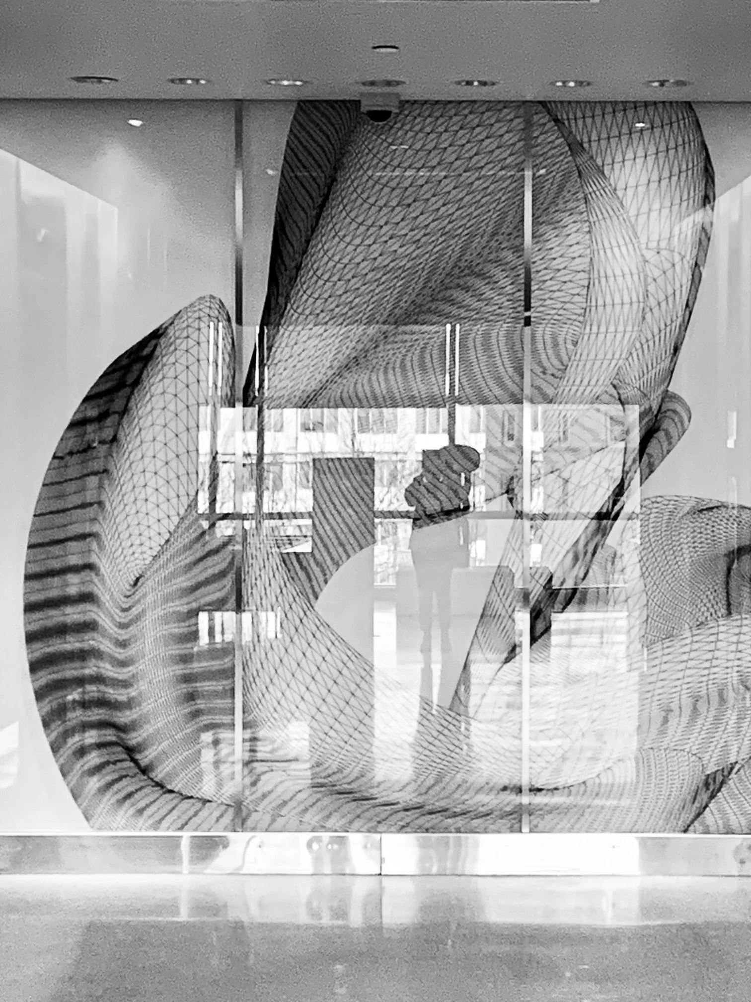 Carole Conatser (Youngstown, OH) Reflecting on Reflections, Photography, $375