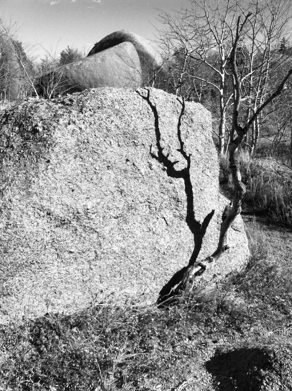 Carole Conatser (Youngstown, OH) Rock Shadows (Diptych), Photography, $675
