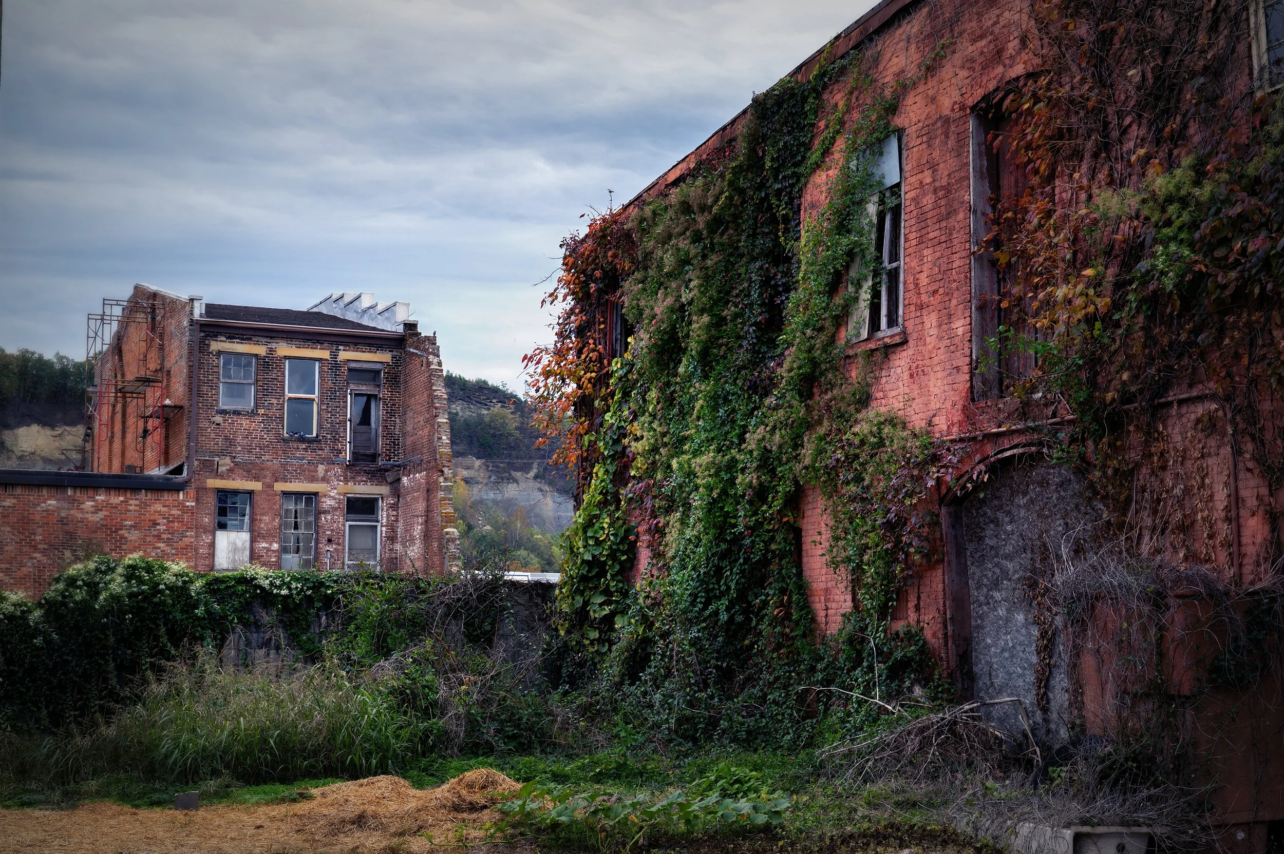 Lisa Frederick (Youngstown, OH)  Reclaimed By Nature, Photography, $260