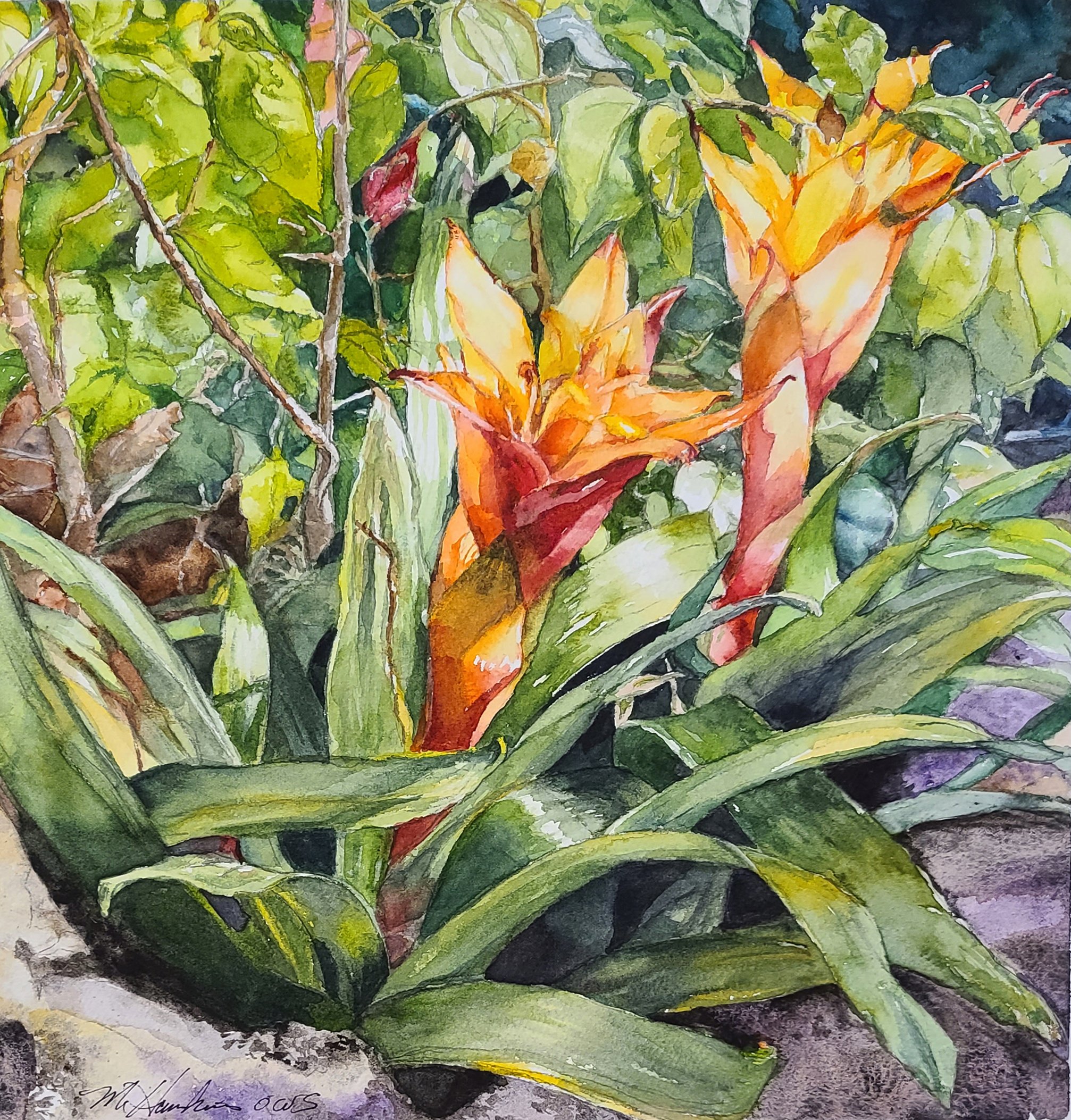 Millie Hawkins (Warren, OH)  Pittsburgh conservatory flower, Watercolor, $500