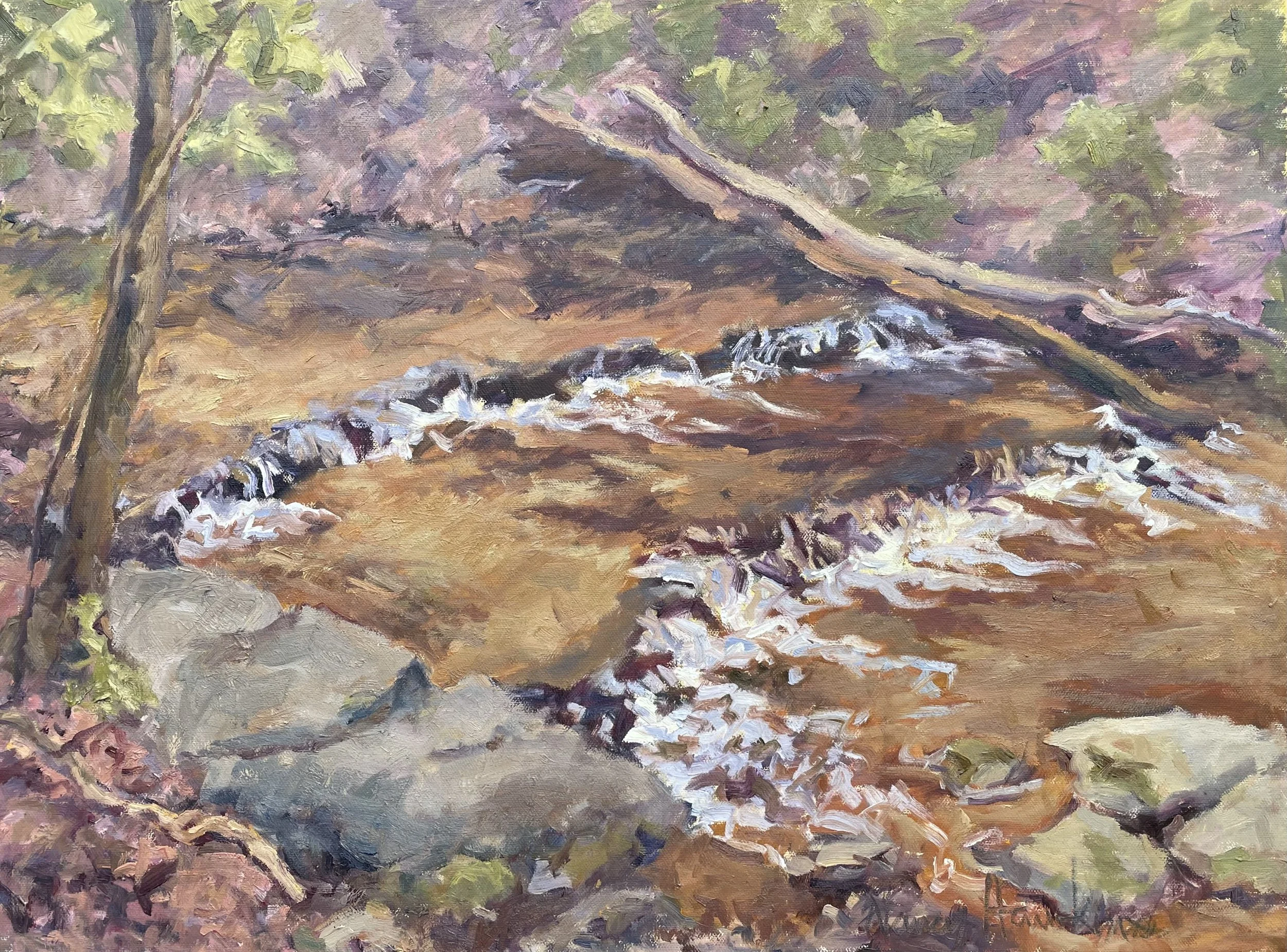 Nancy Hawkins (Columbiana, OH)  Yellow Creek Ravine, Oil, $600
