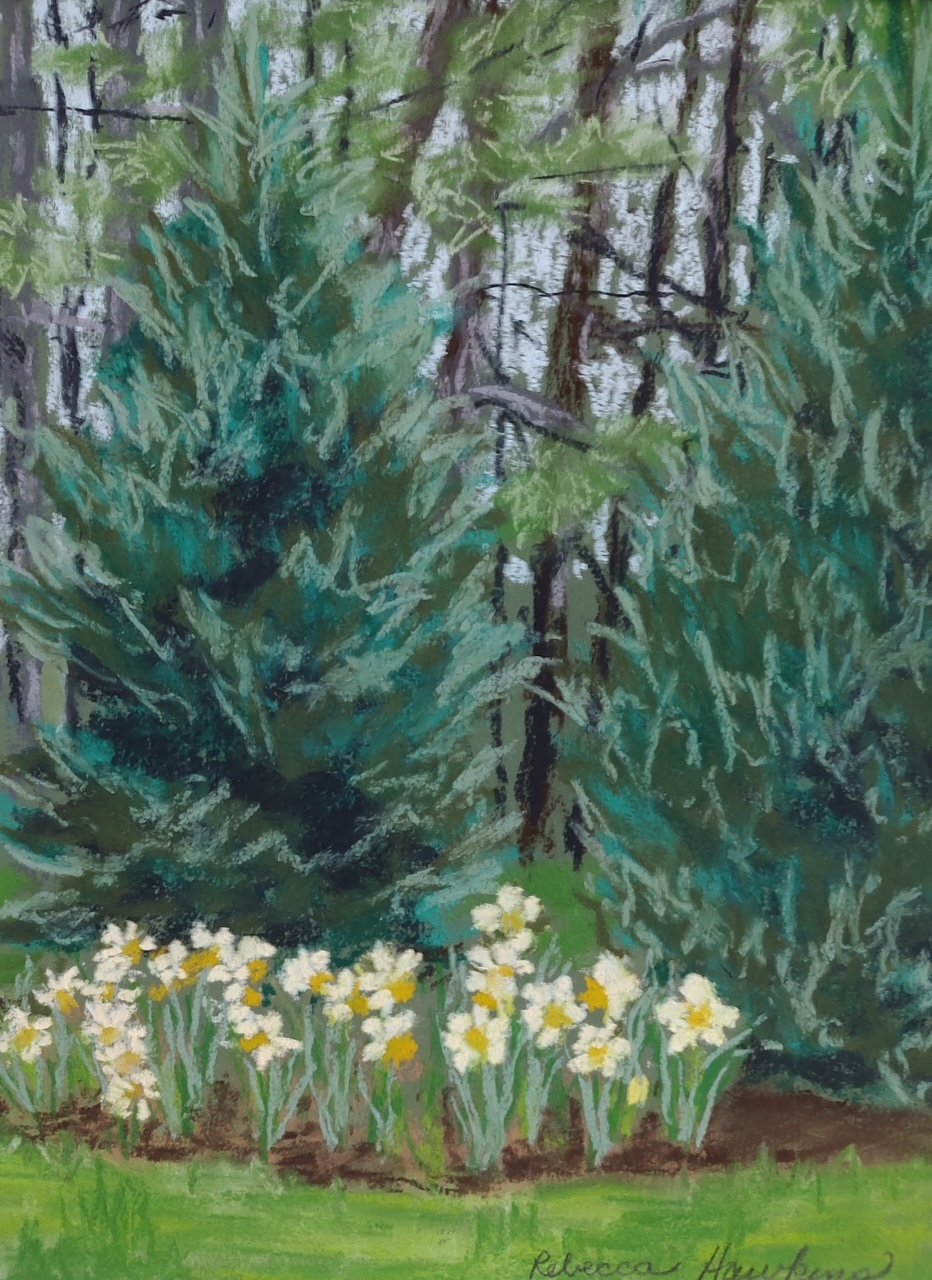 Rebecca Hawkins (Columbiana, OH)  Daffodils in Hippleys Gardens, Pastel, $250