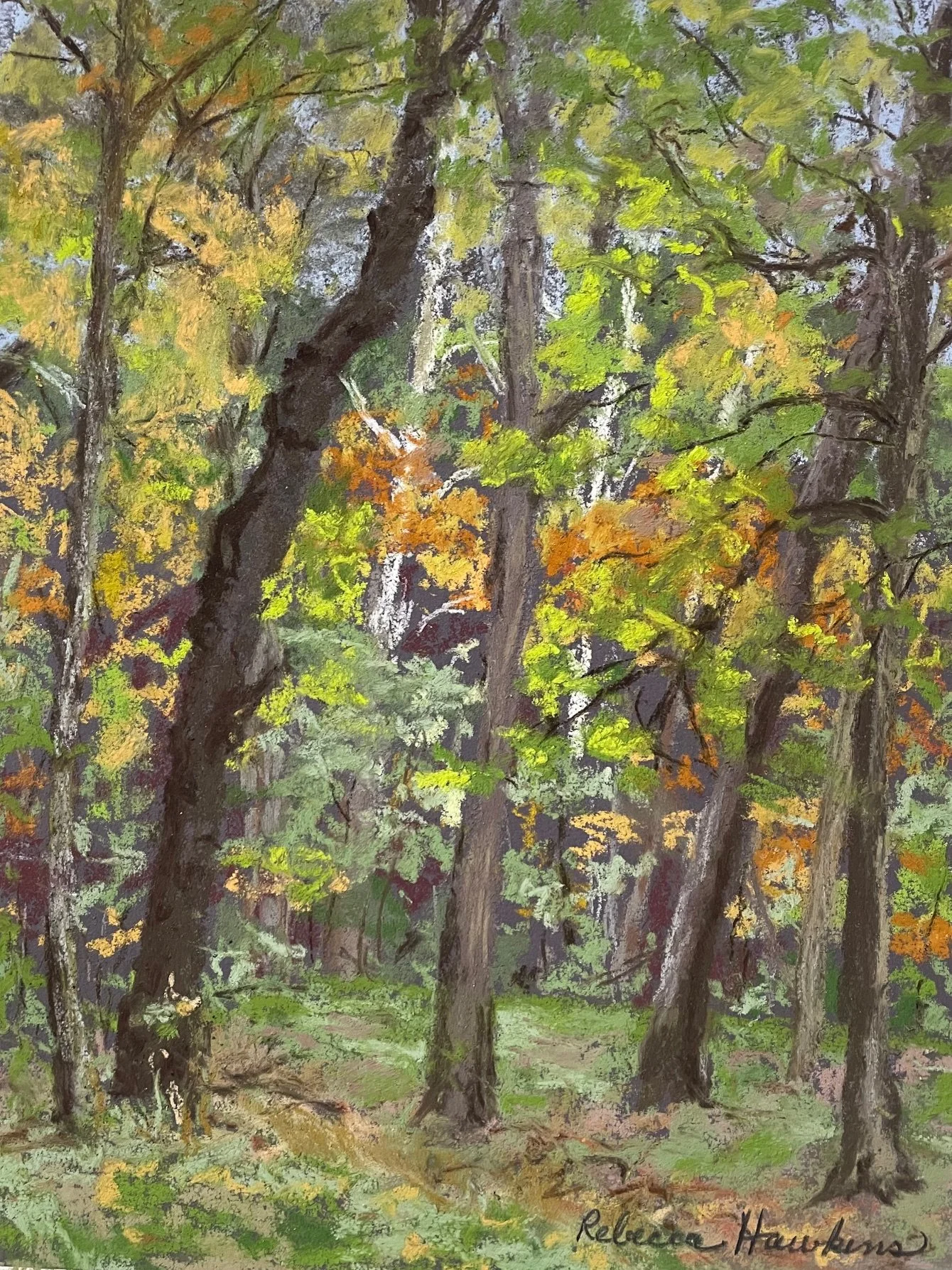 Rebecca Hawkins (Columbiana, OH)  Falling Leaves, Pastel, $400