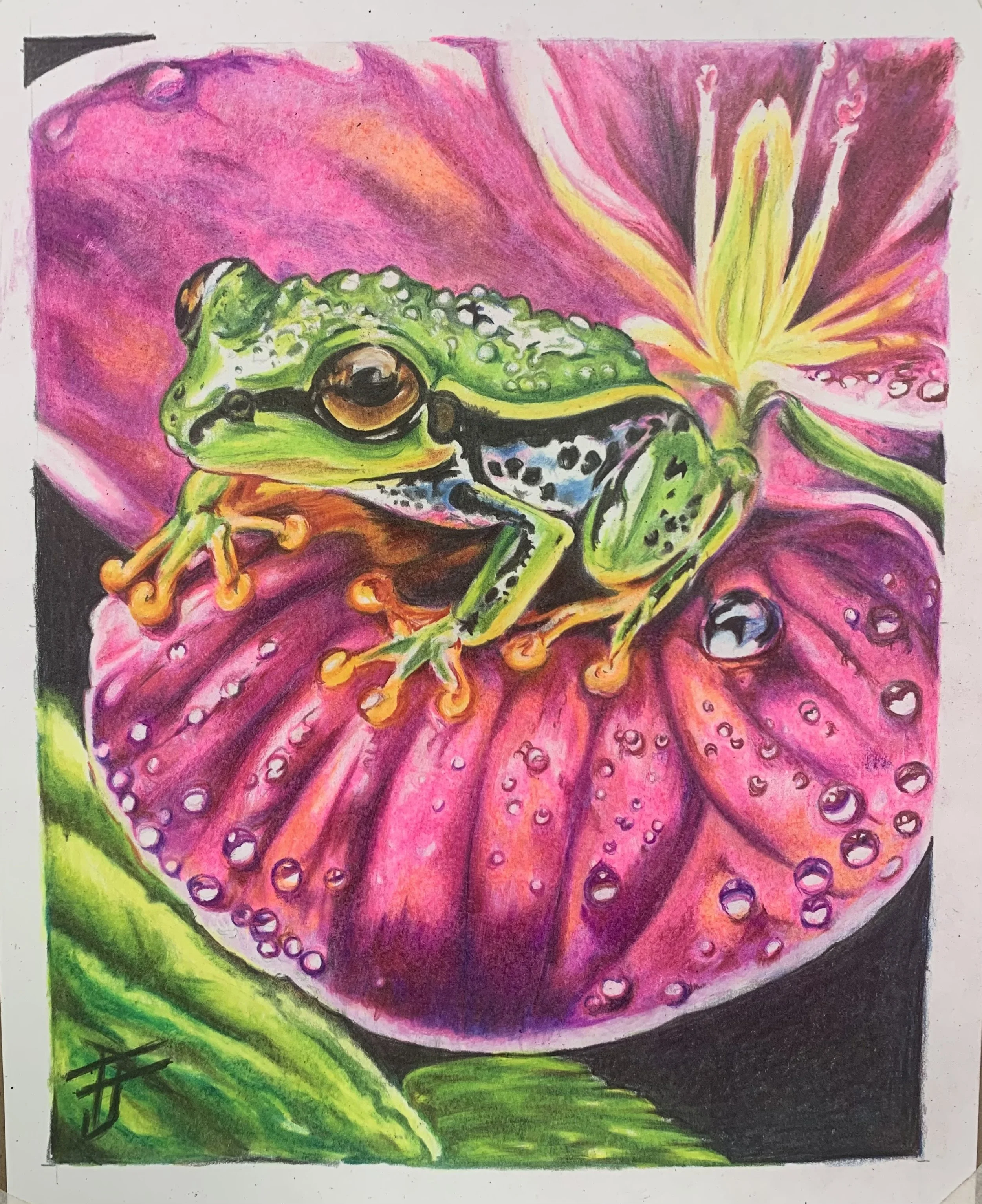 Toni Jaric (New Springfield, OH)  Prince Charming, Colored Pencil, NFS