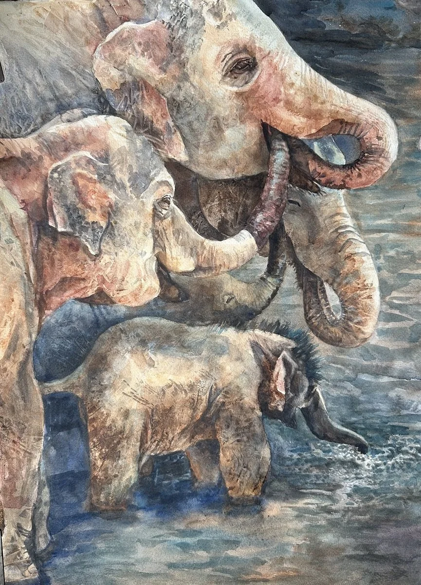 Lynne Rosati (Boardman, OH)  Elephants at Play, Watercolor, $600
