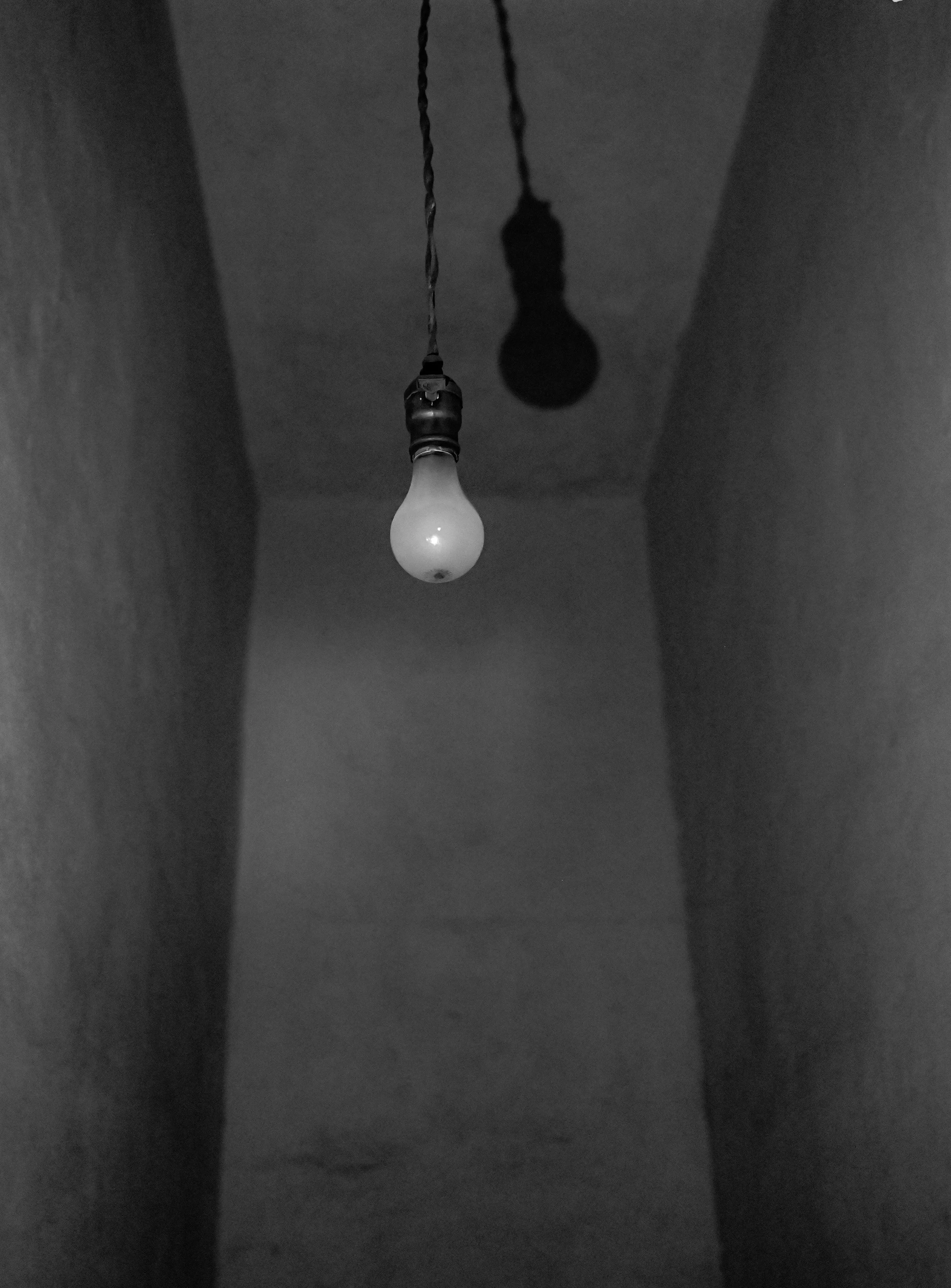 Linda Vasconi (Hubbard, OH)  Hanging By A Thread, Photography, $200