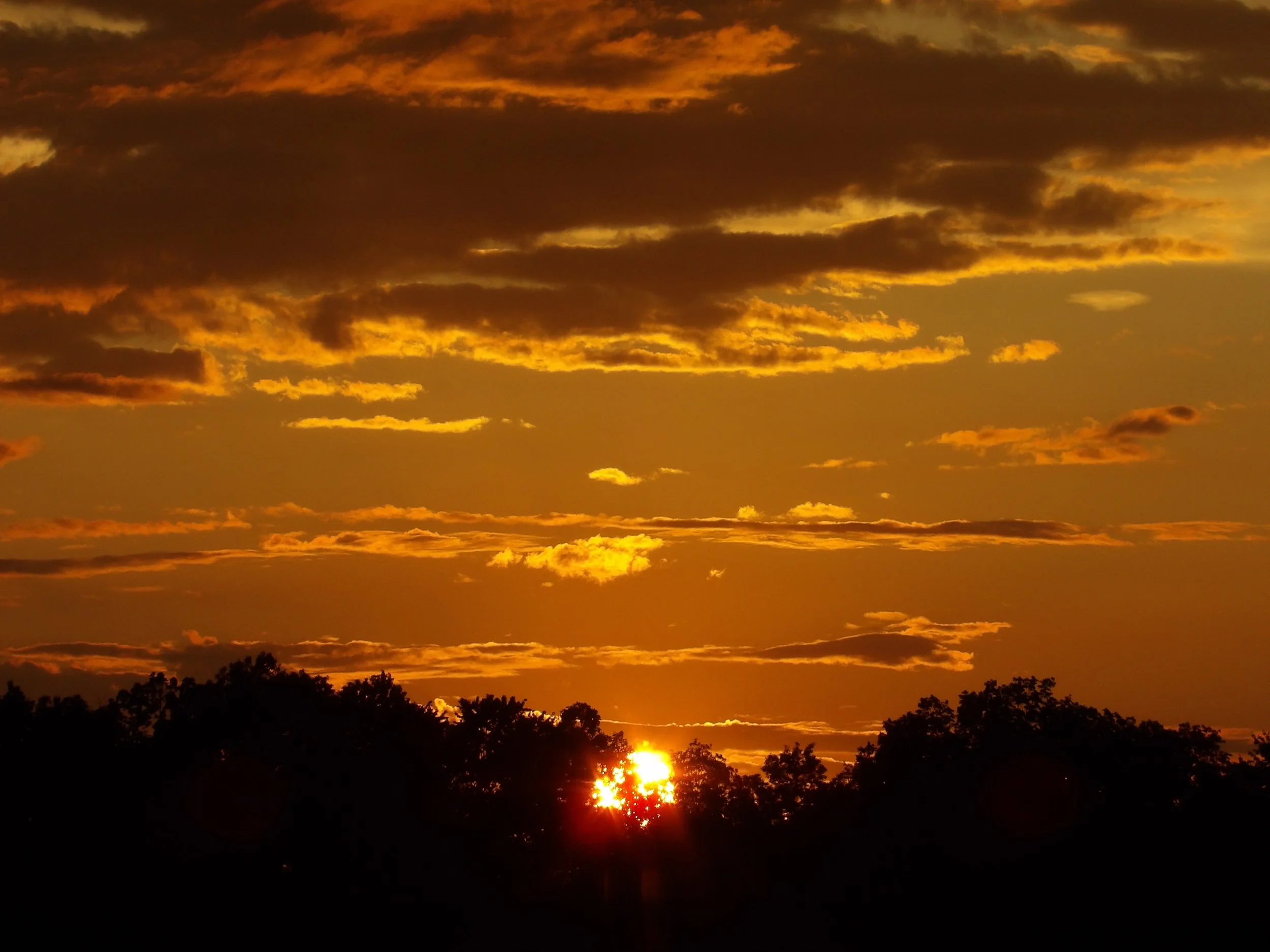 Alaina Best (Kinsman, OH) Sunset Over the Trees, photo, $30