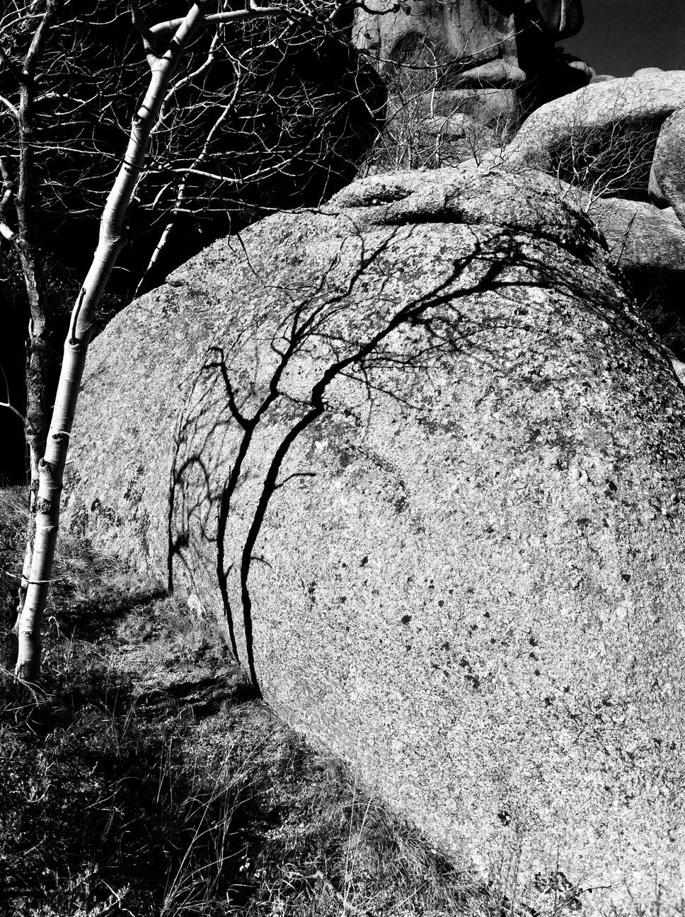 Carole Conatser (Youngstown, OH) Rock Shadows 2 (Diptych). $675