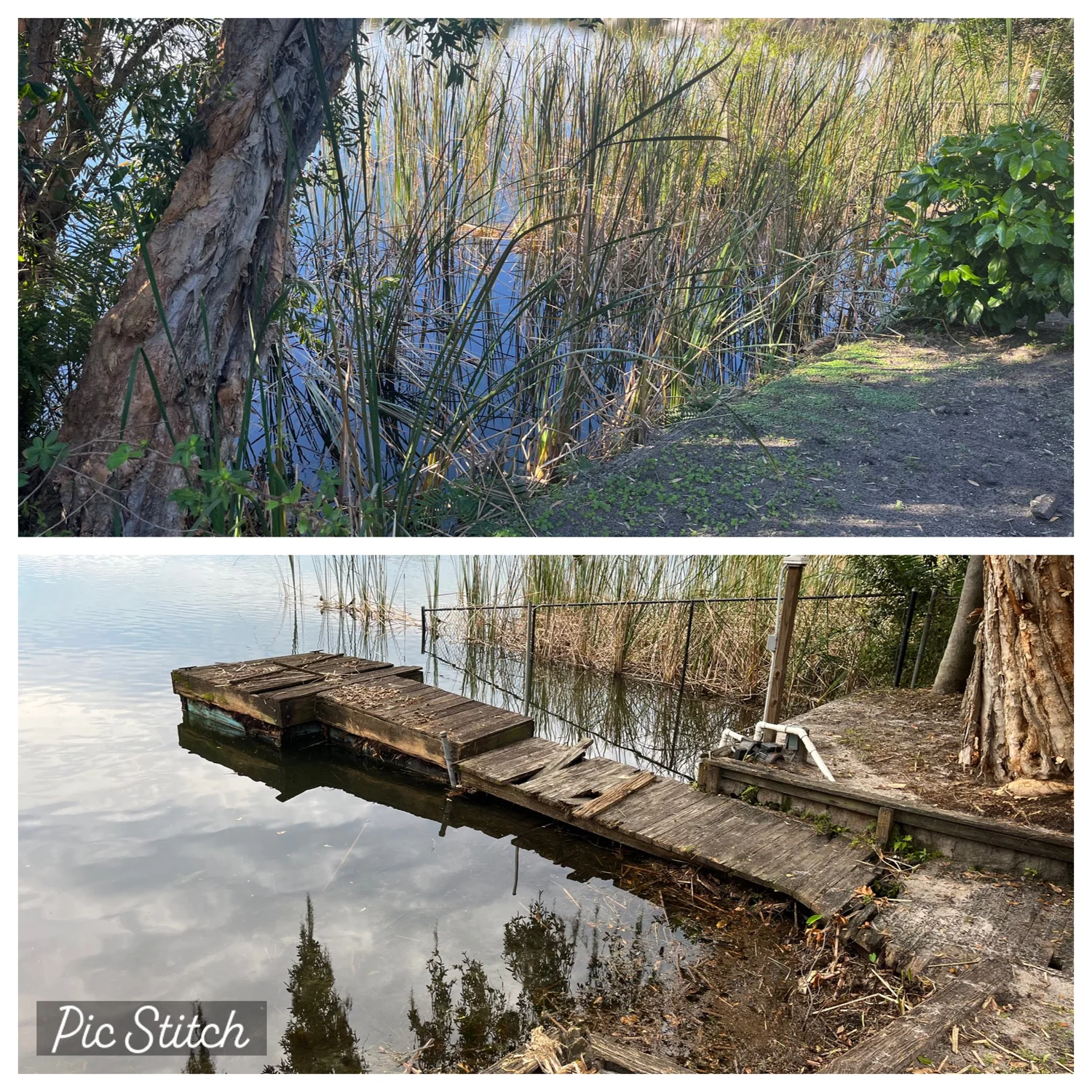 Florascape Aquatics Lakefront Cleaning Gallery — Floraescape Aquatics