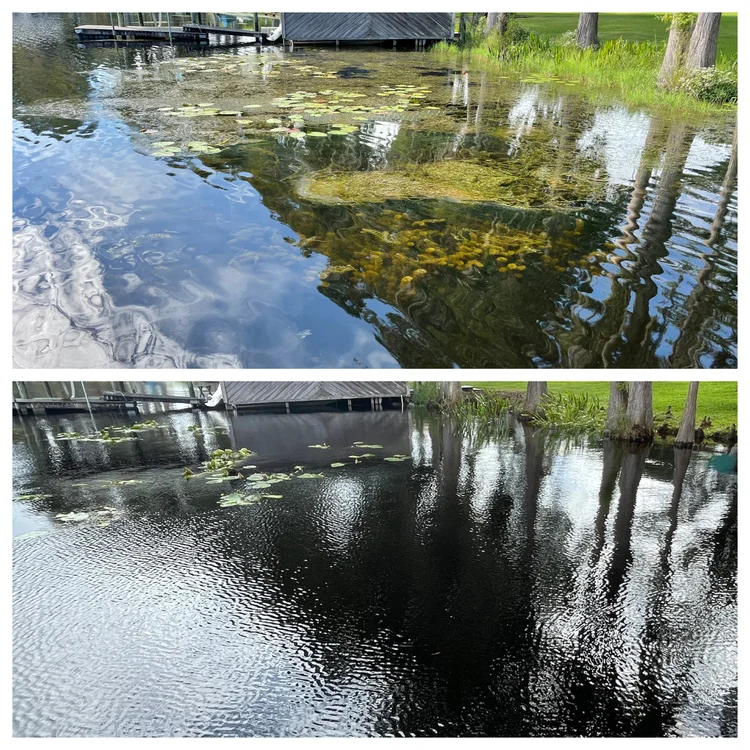 Florascape Aquatics Lakefront Cleaning Gallery — Floraescape Aquatics