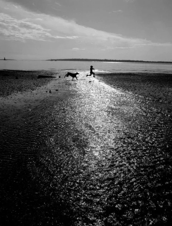Boy Playing with Dog, 2009