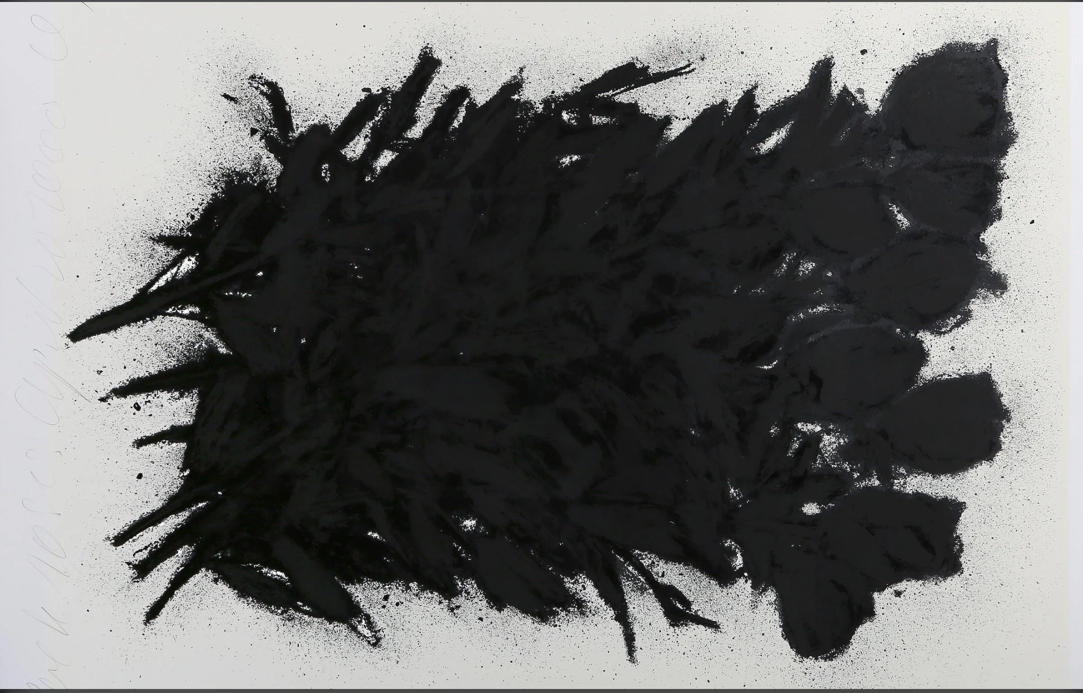 Black Roses_ David Sultan.jpg