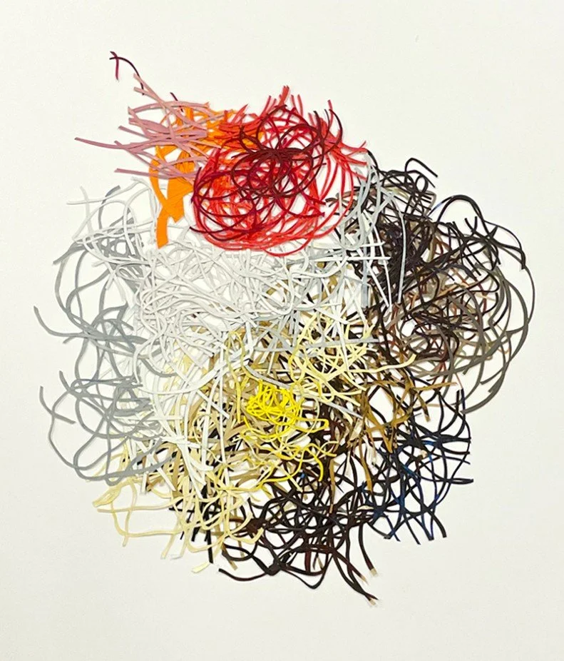 Thicket_Barabara_Owen.jpg