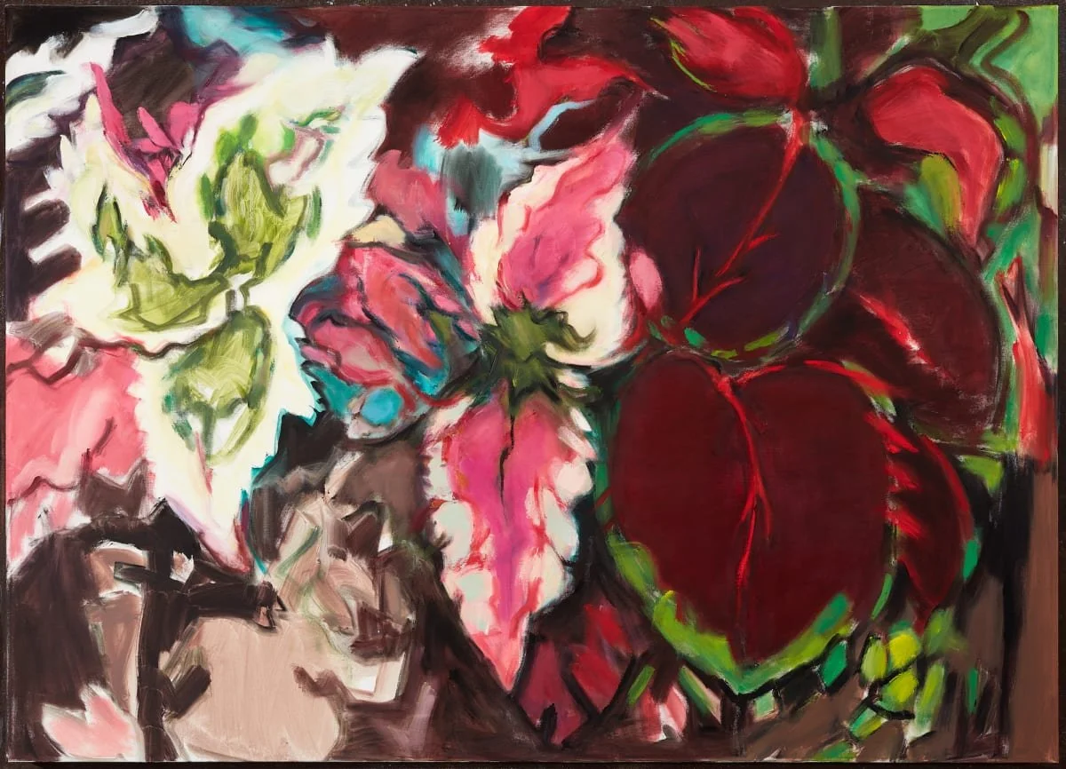 Coleus_Martiesian.jpg