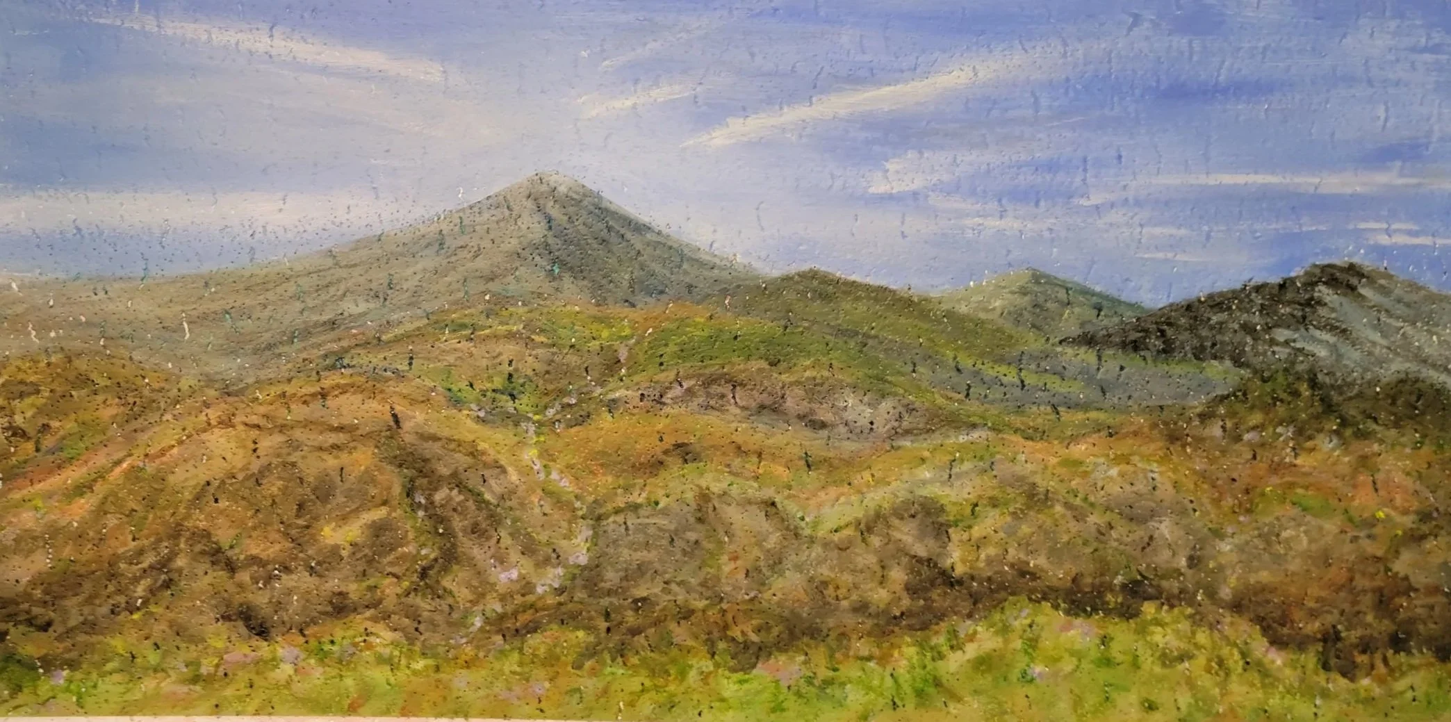 Sierra Madre del Sur, Oaxaca, 2021, acrylic on ceiling tile 24" x 48"