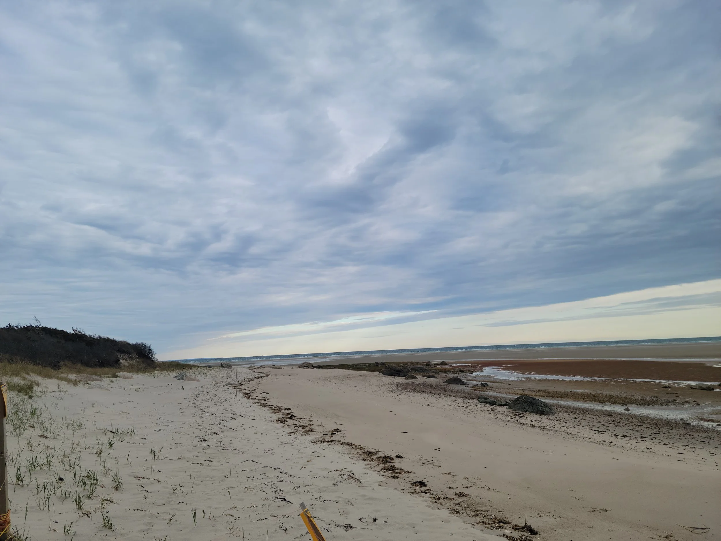 Crowes Pasture Beach April Afternoon.jpg