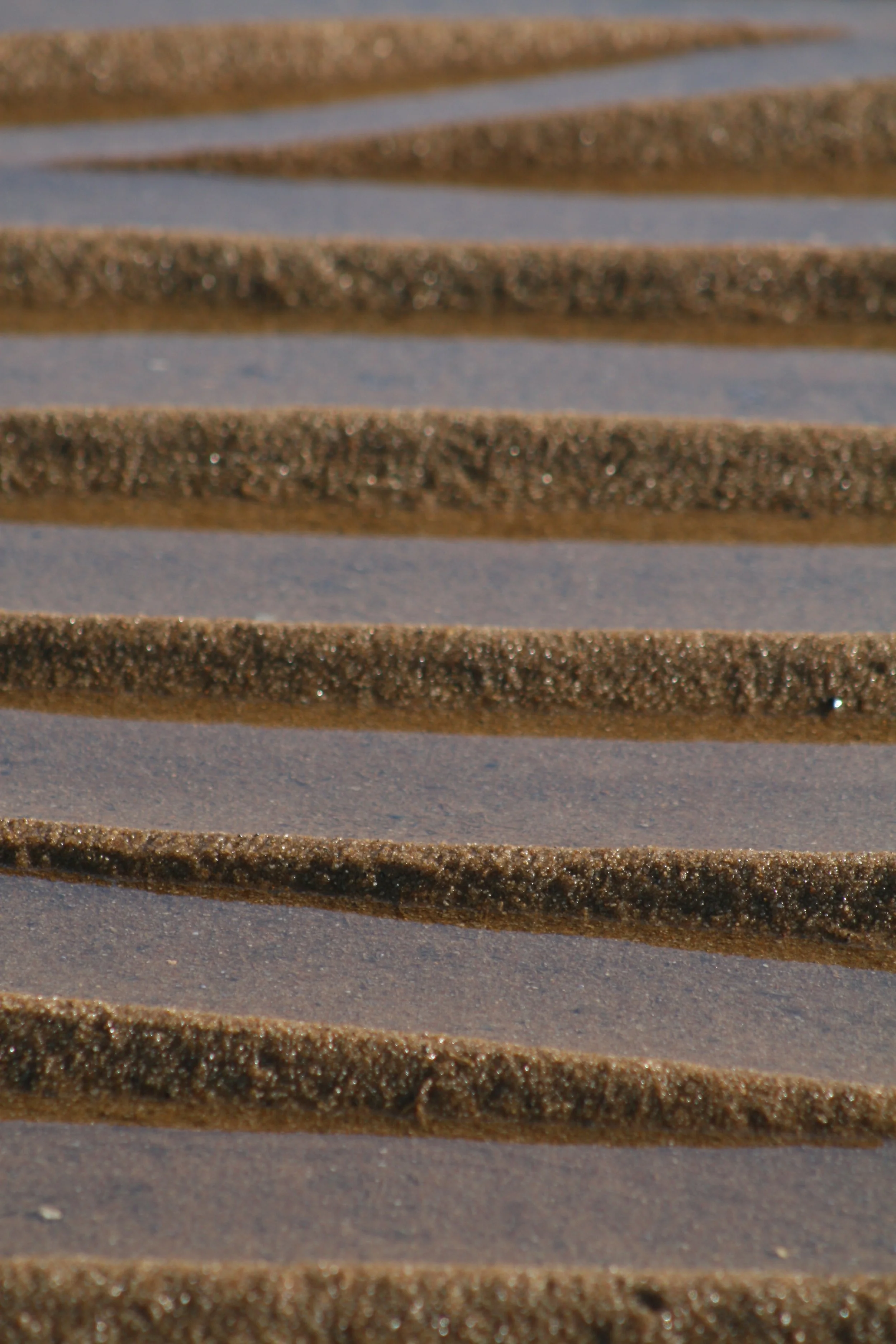 Cape Cod Bay- Sand at Low Tide.JPG