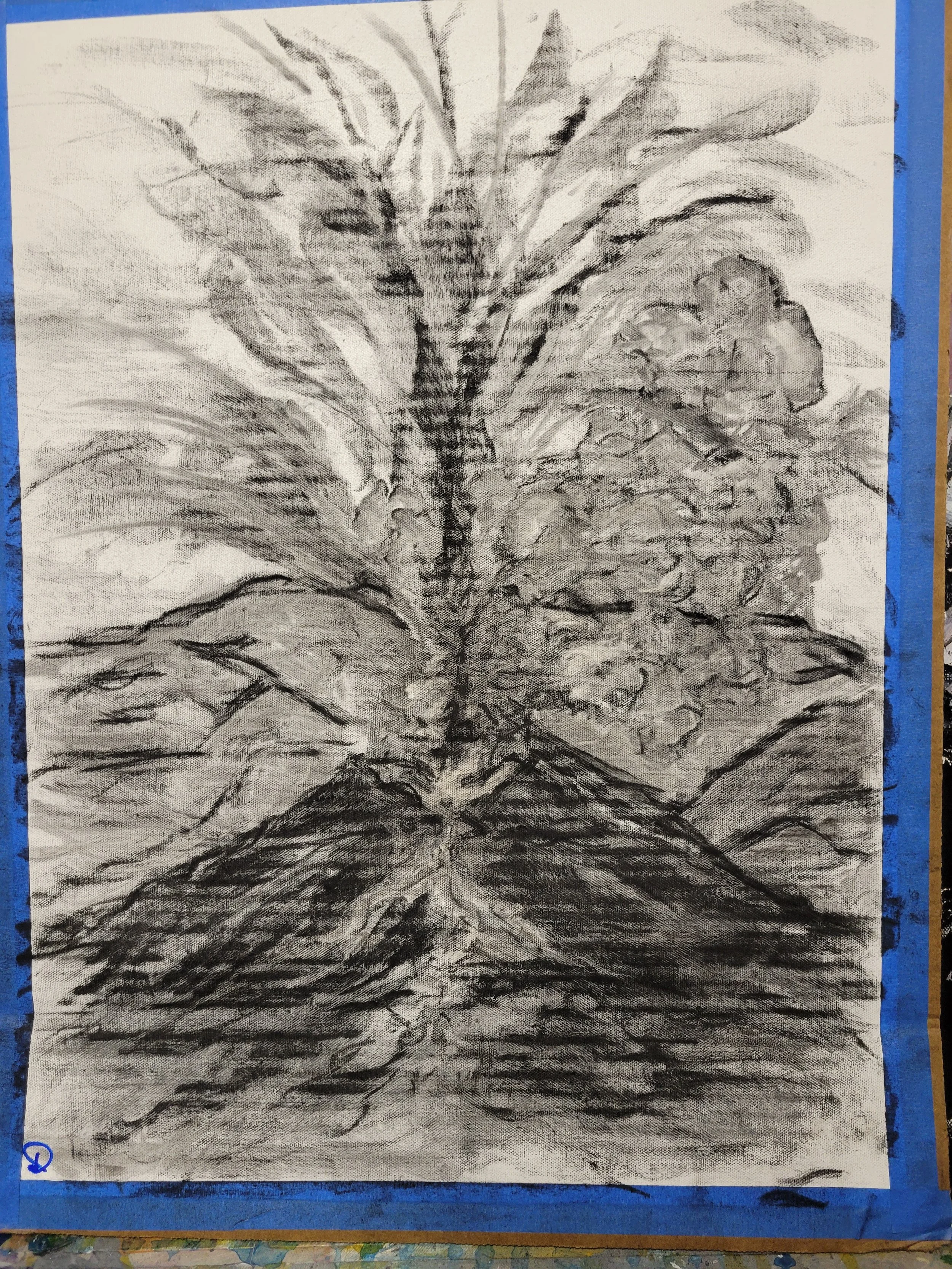 Untitled, 2024