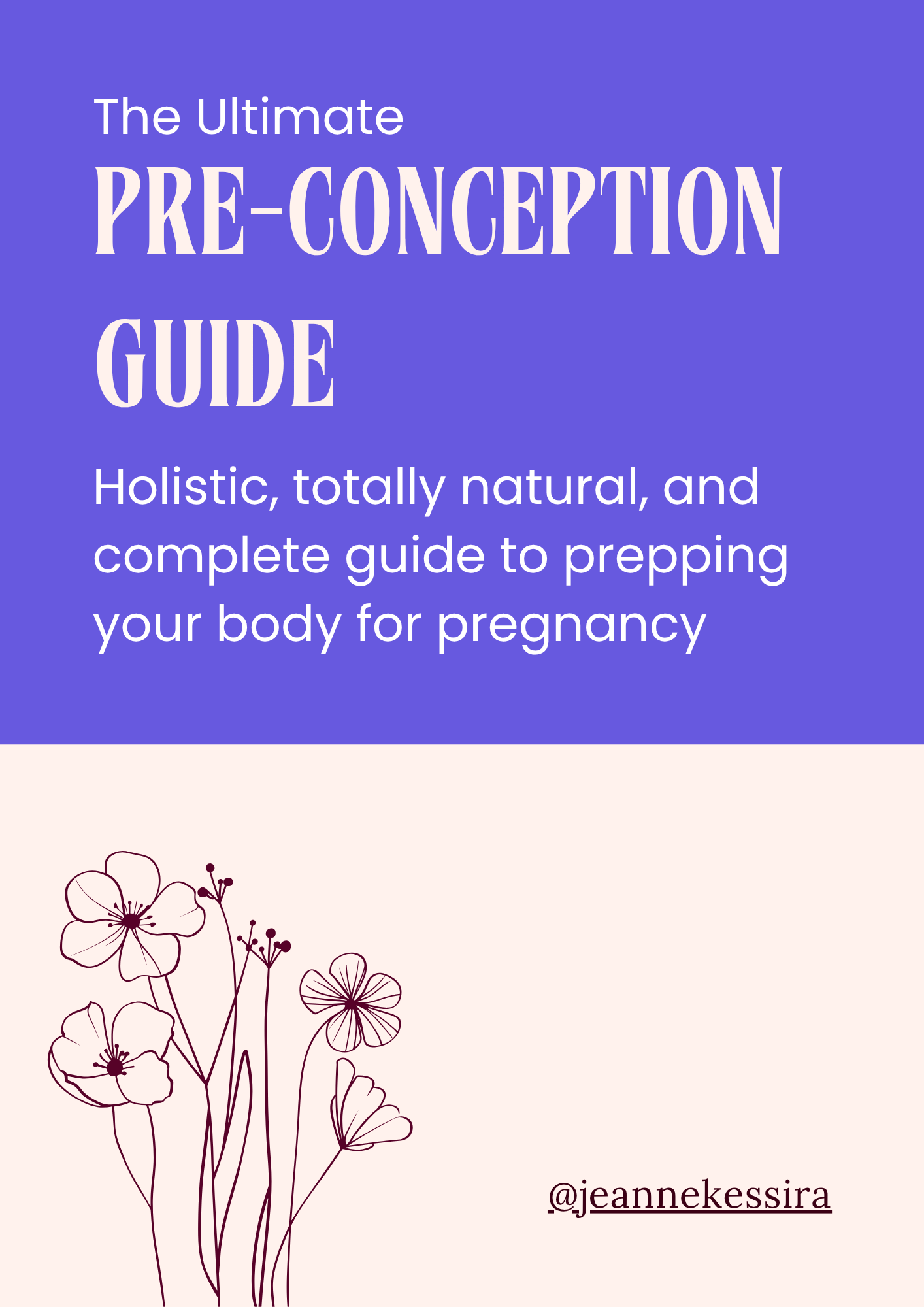 PRE-CONCEPTION GUIDE pg 1.png