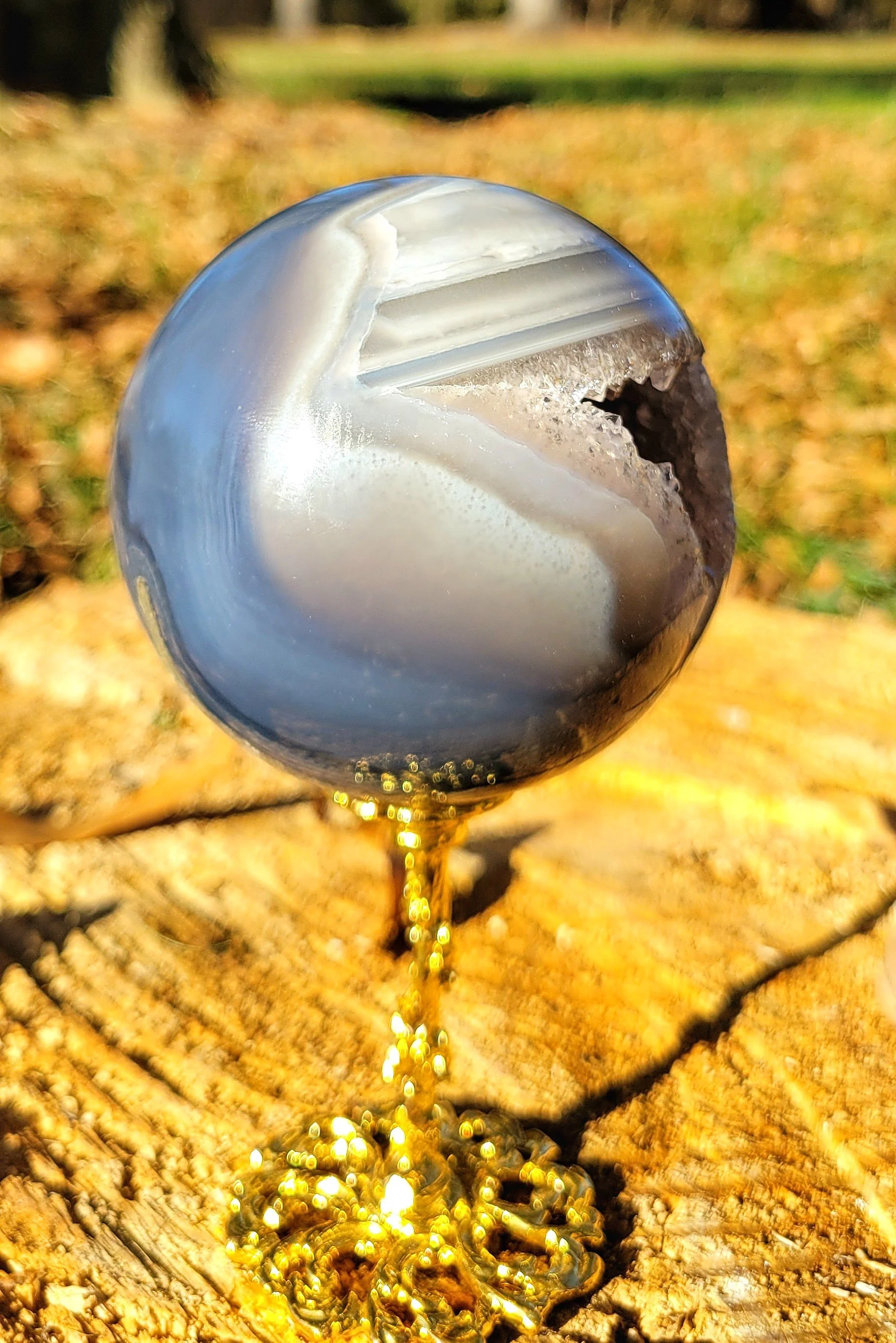 20251123_145456.jpg