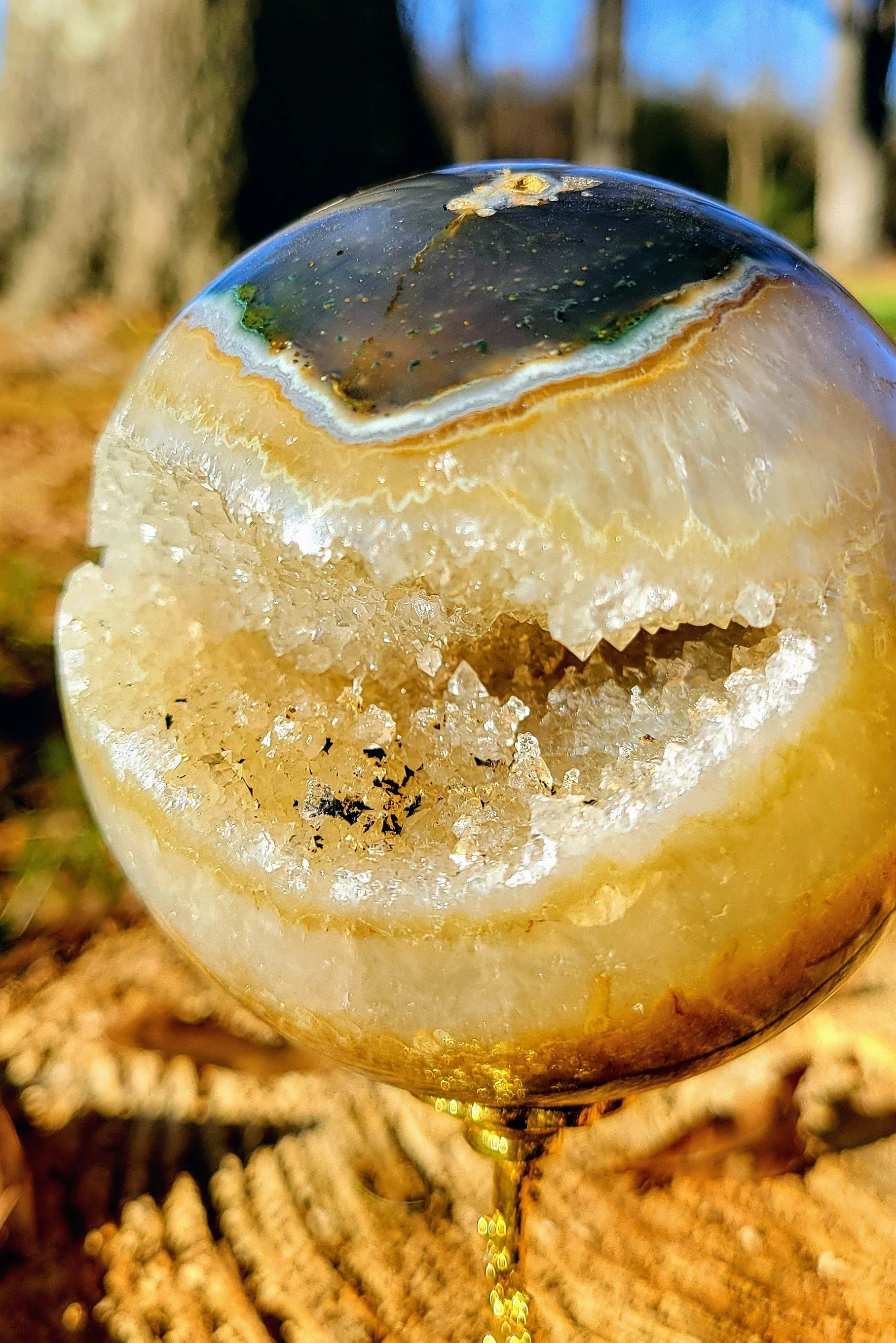 20251123_150601.jpg