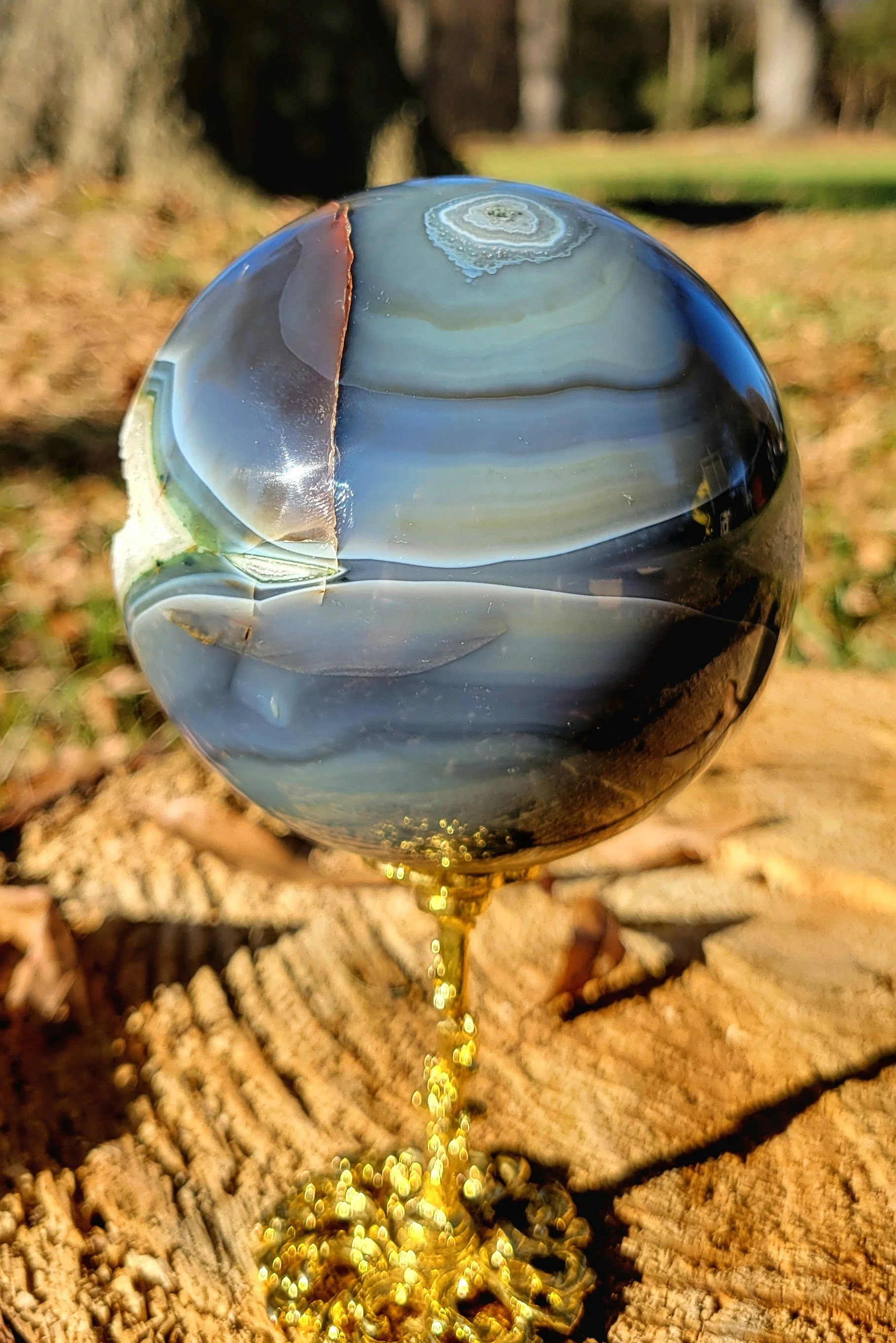 20251123_145839.jpg