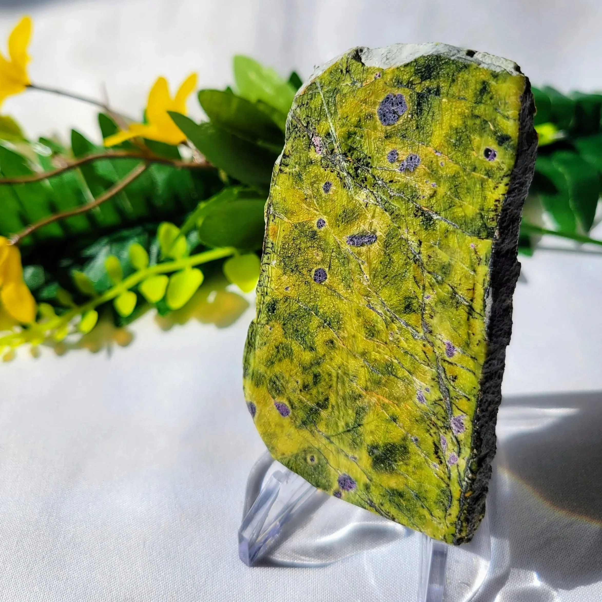 Green crystal slab with purple spots on a clear plastic stand, placed on a white surface with green foliage in the background.