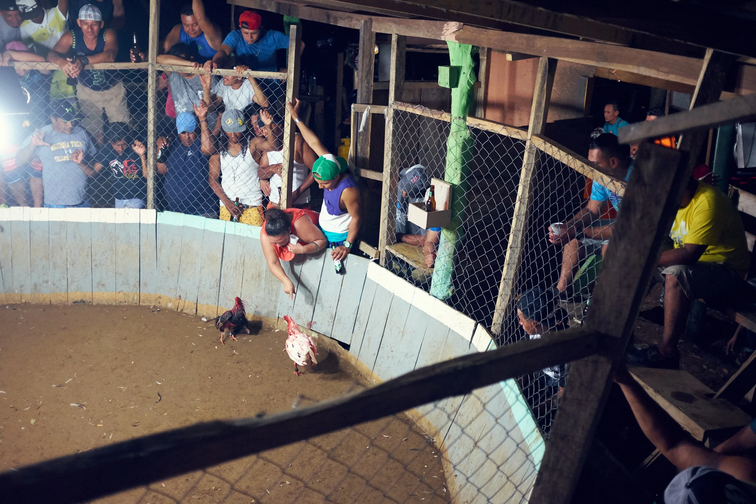 171102_CockFight-0578.jpg