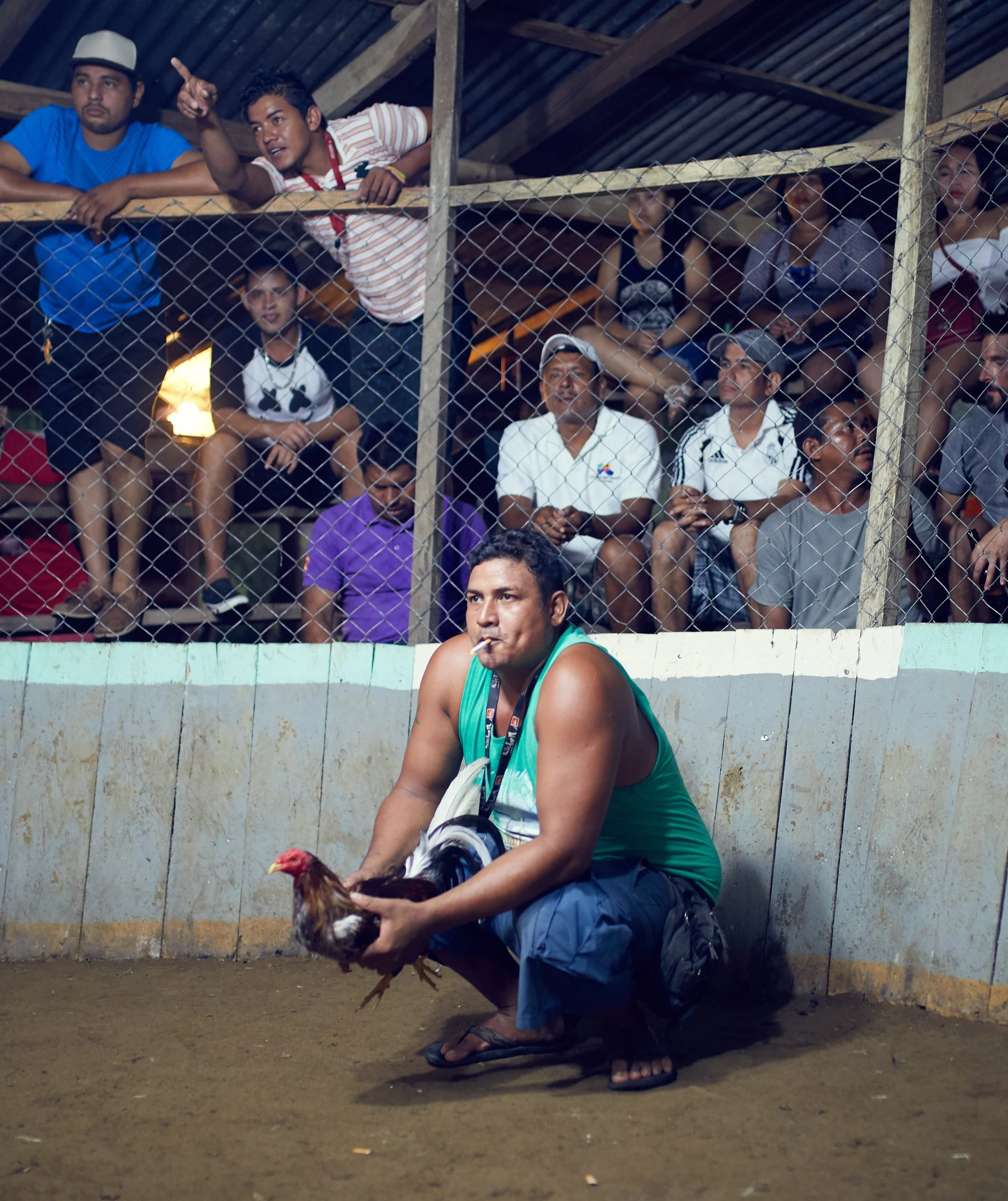 171102_CockFight-0108.jpg
