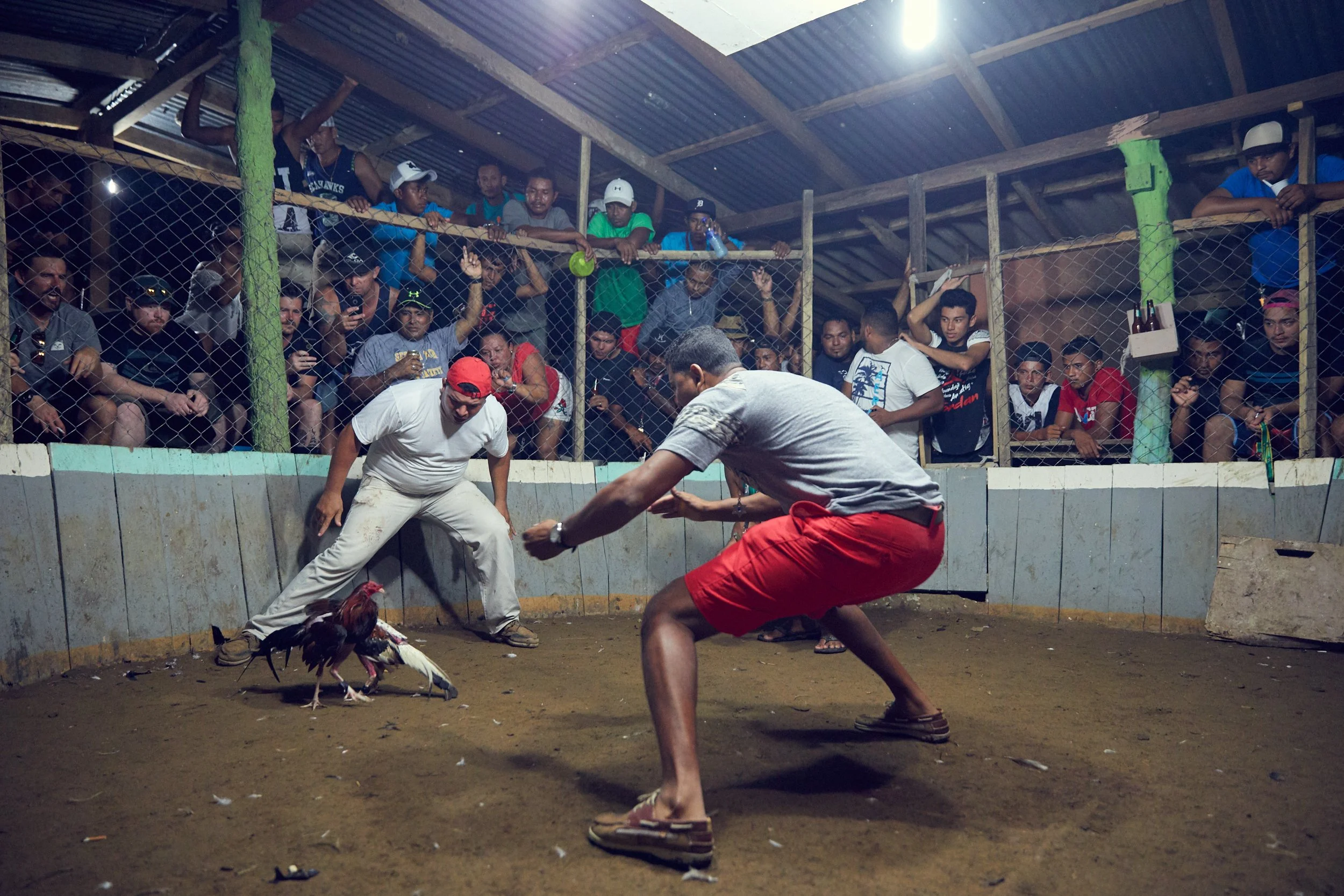 171102_CockFight-0354.jpg