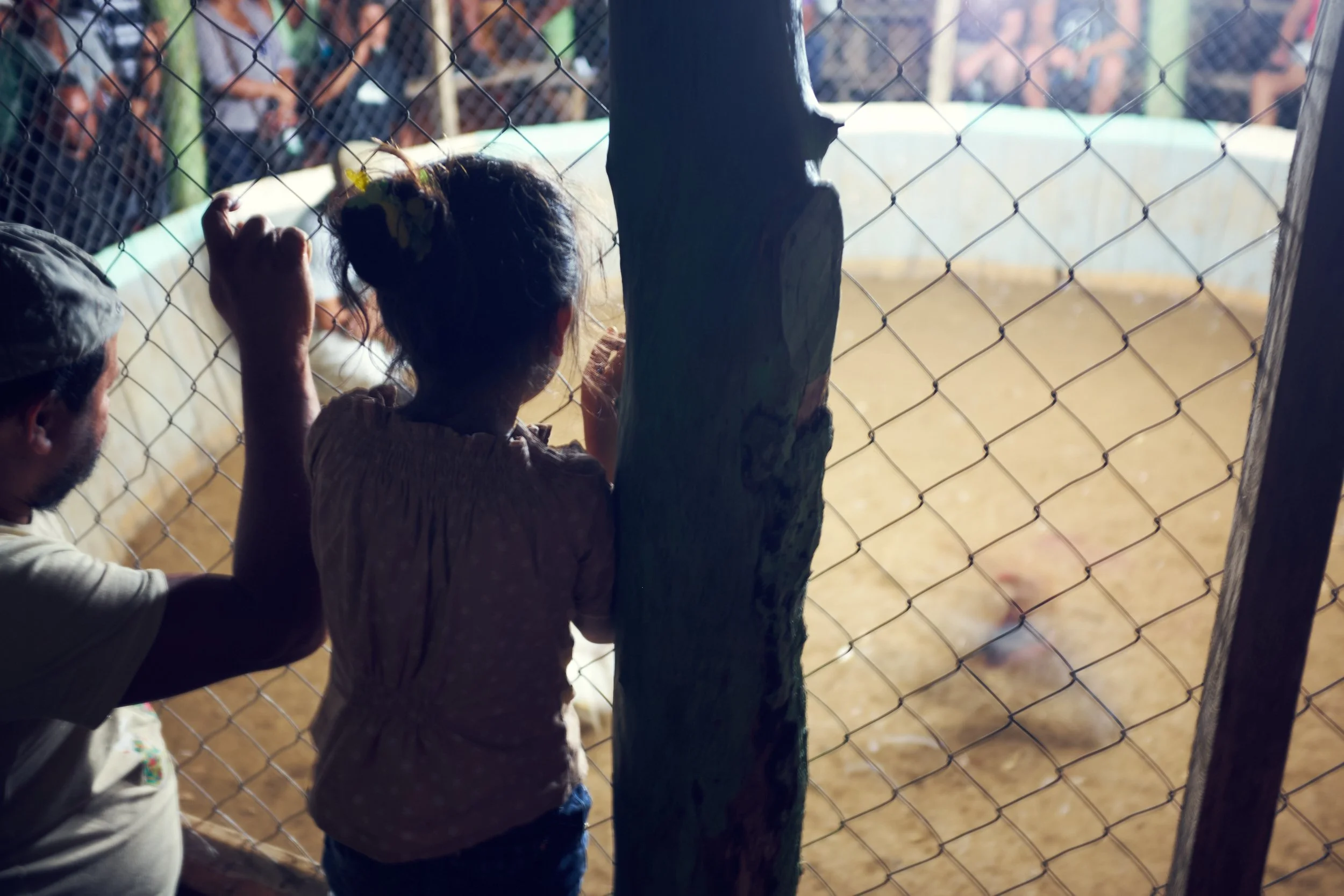 171102_CockFight-0415.jpg