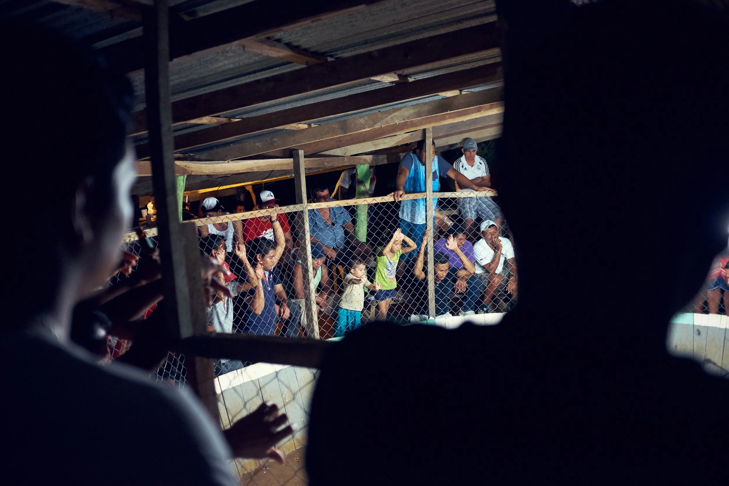 171102_CockFight-0587.jpg